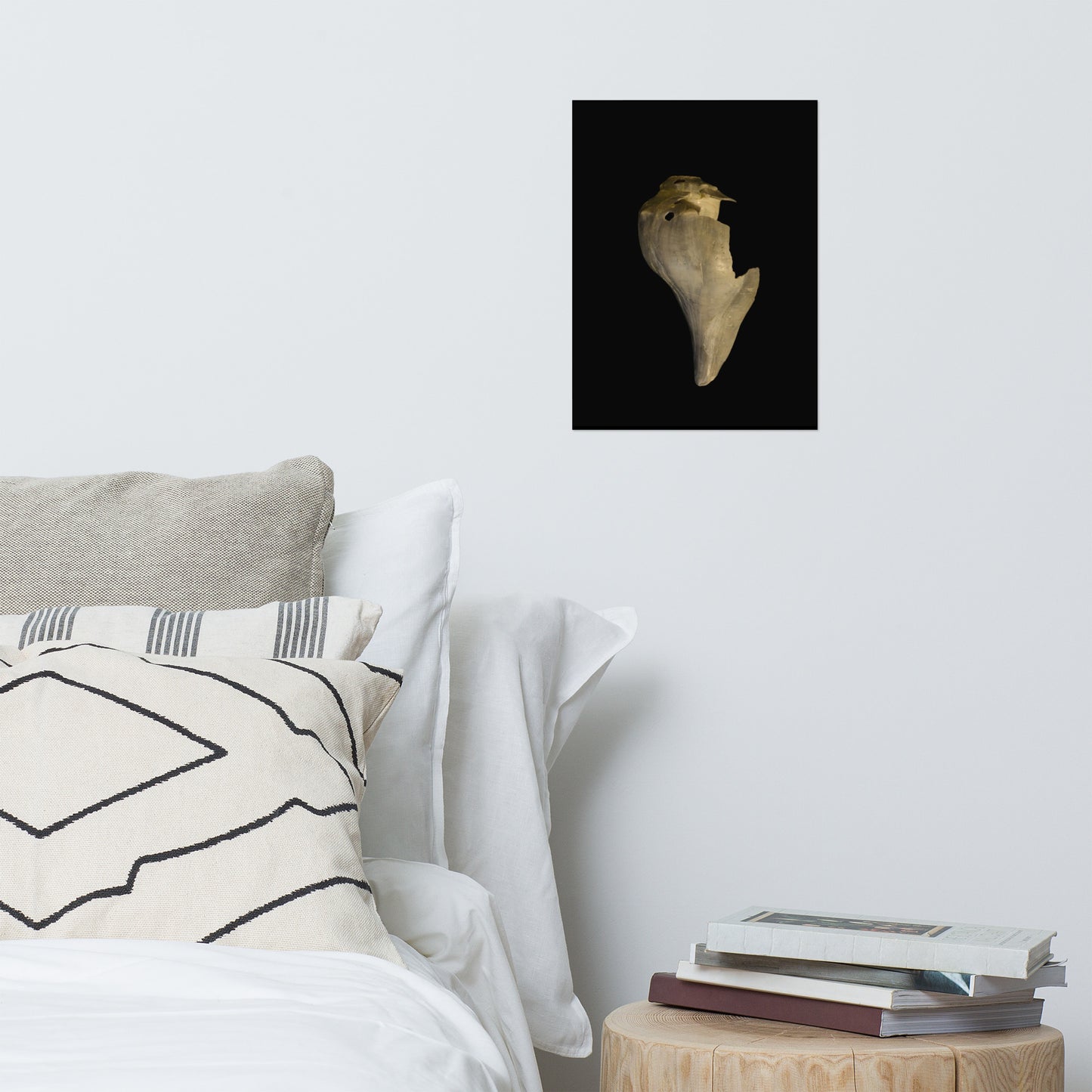States of Erosion Image 7 Whelk Shell Coastal Nature Photo Loose Unframed Wall Art Prints