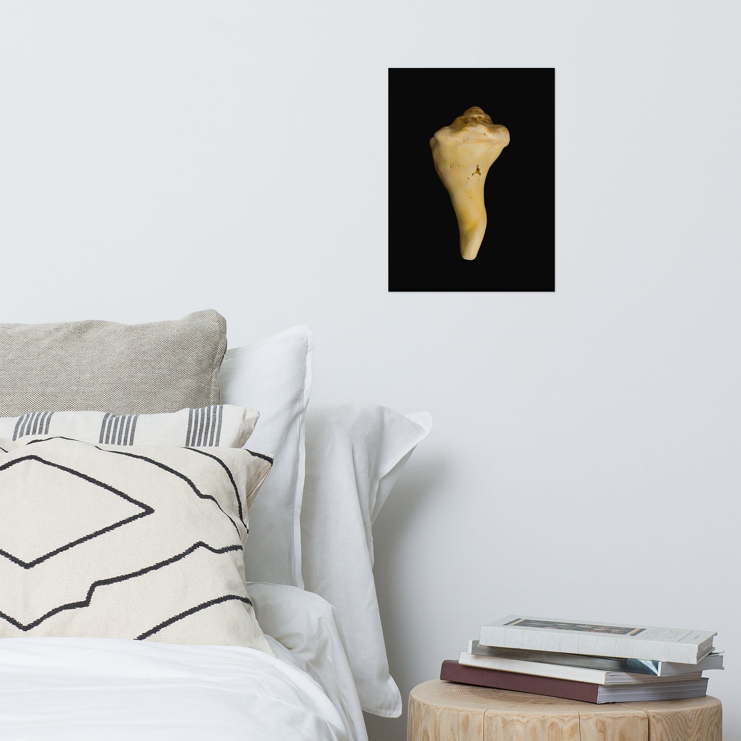States of Erosion Image 8 Whelk Shell Coastal Nature Photo Loose Unframed Wall Art Prints