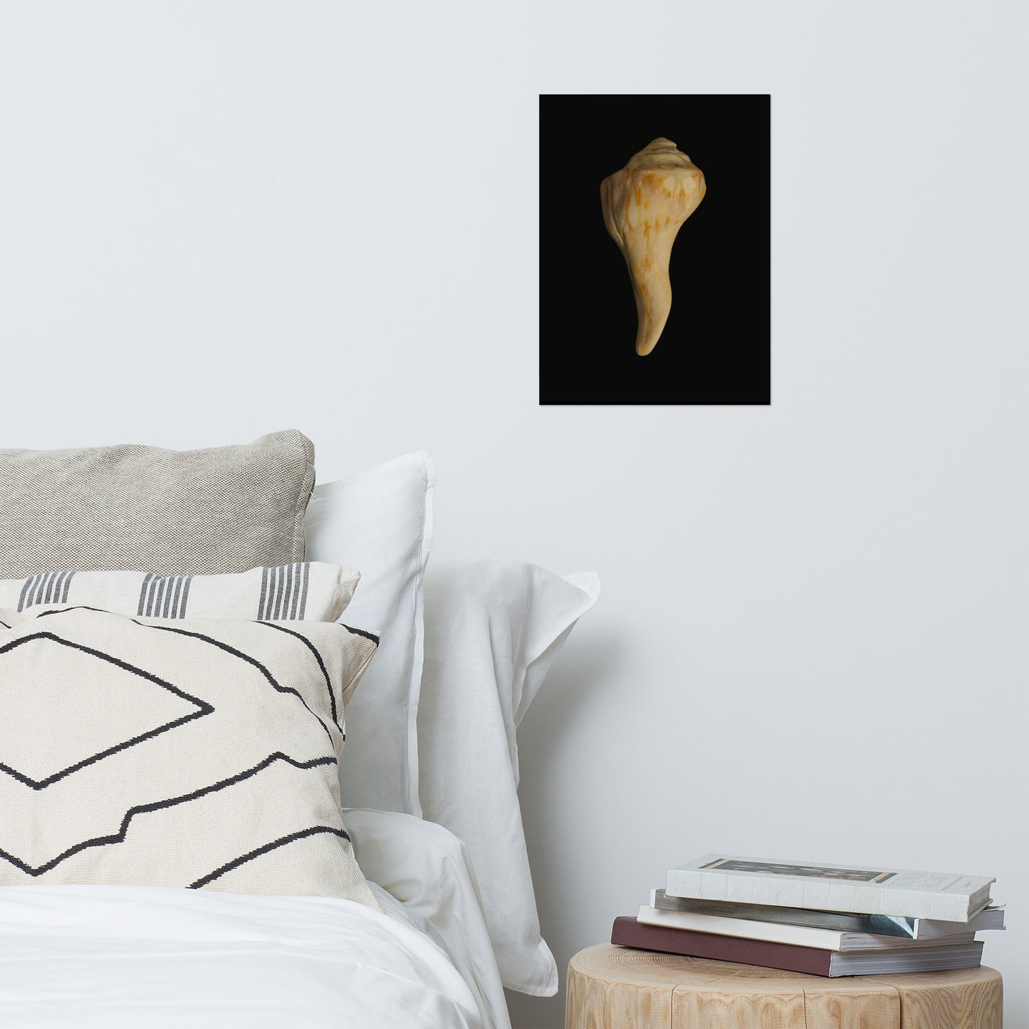 States of Erosion Image 9 Whelk Shell Coastal Nature Photo Loose Unframed Wall Art Prints