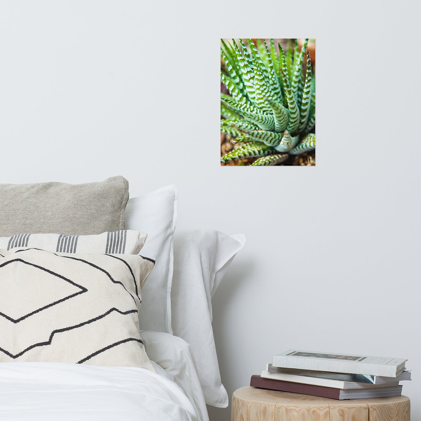 Succulent 2 Minimalist Rustic Farmhouse Style Botanical Nature Photo Loose Unframed Wall Art Prints