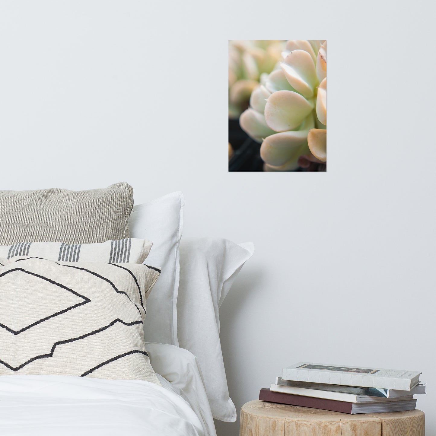 Succulent 4 Minimalist Rustic Farmhouse Style Botanical Nature Photo Loose Unframed Wall Art Prints