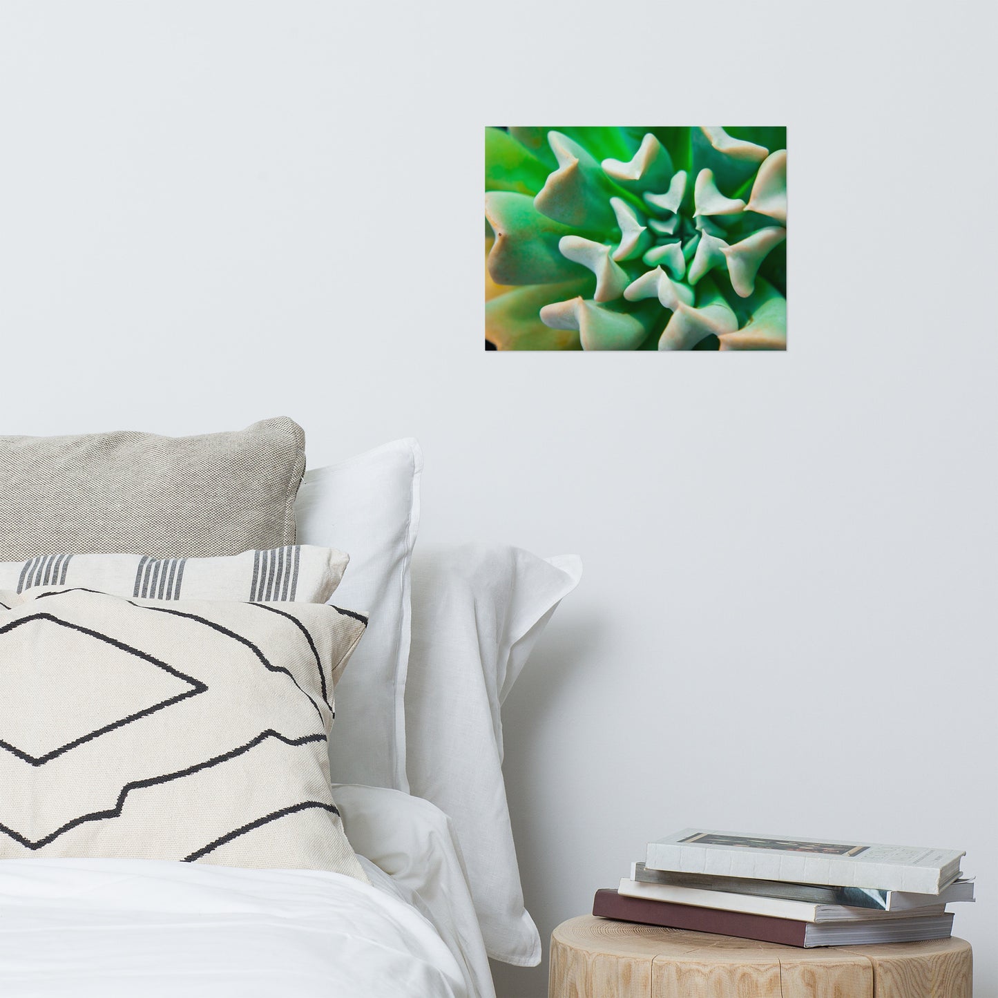 Succulent Botanical Minimalist Rustic Farmhouse Style Nature Photo Loose Unframed Wall Art Prints