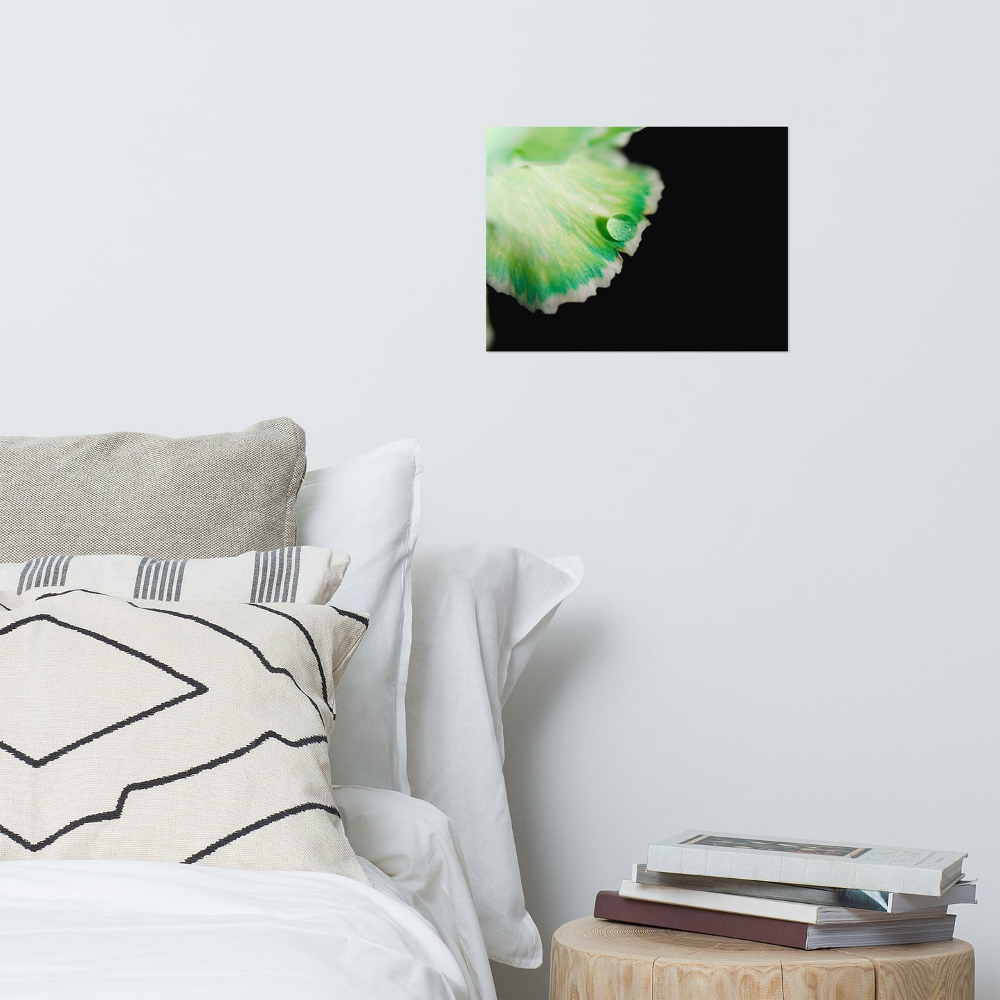 Water Droplet on Carnation Petal Floral Nature Photo Loose Unframed Wall Art Prints
