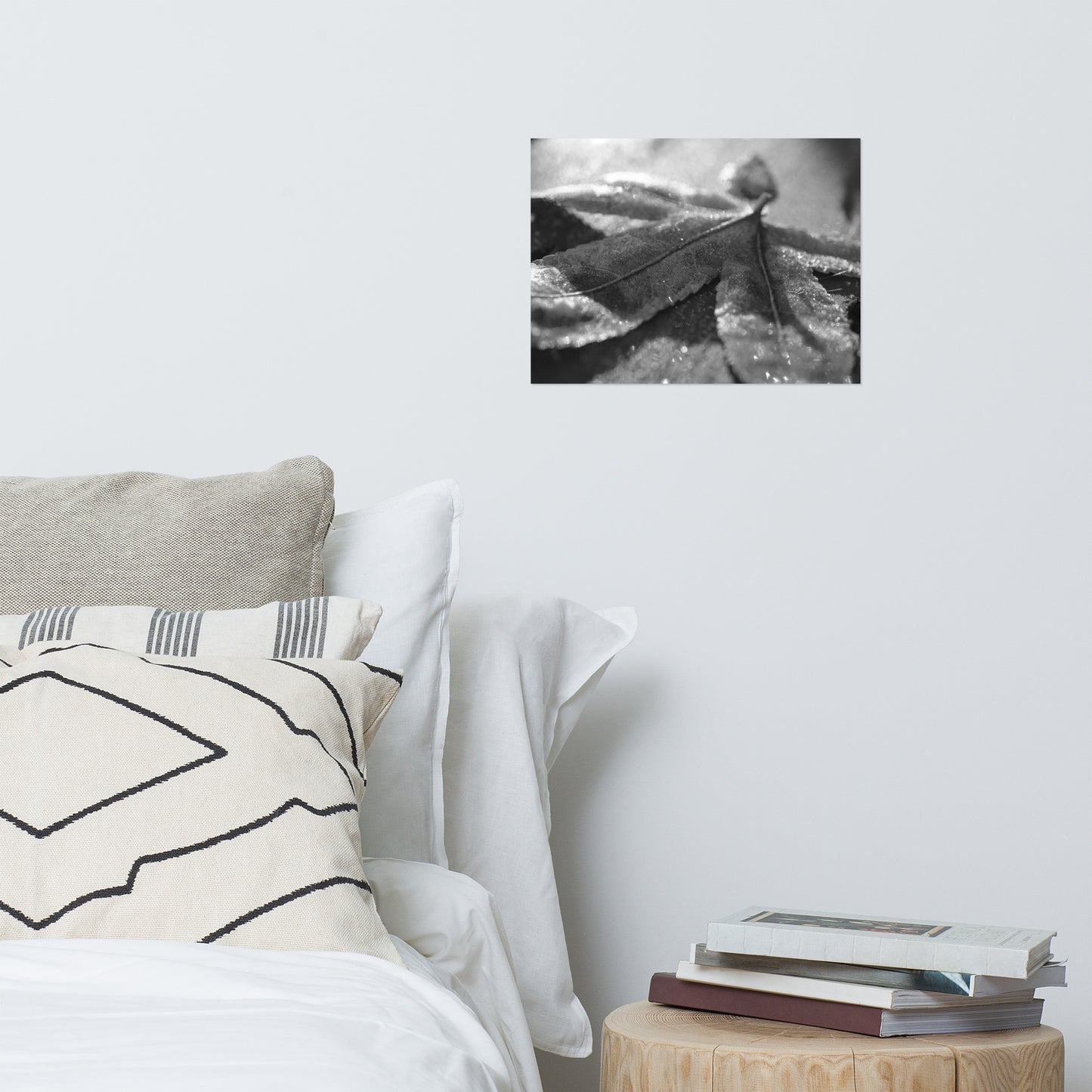 Frost Covered Leaf Black and White Botanical Nature Photo Loose Unframed Wall Art Prints