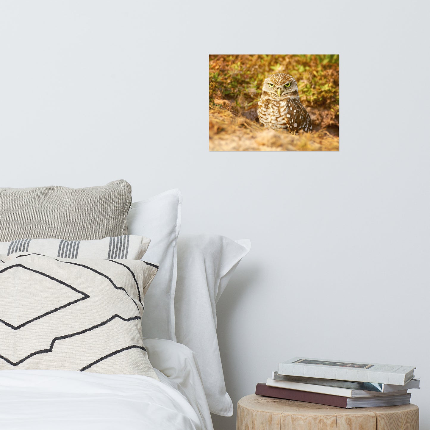 Burrowing Owl in Golden Light Rustic Bird / Animal / Wildlife Photograph Art Print