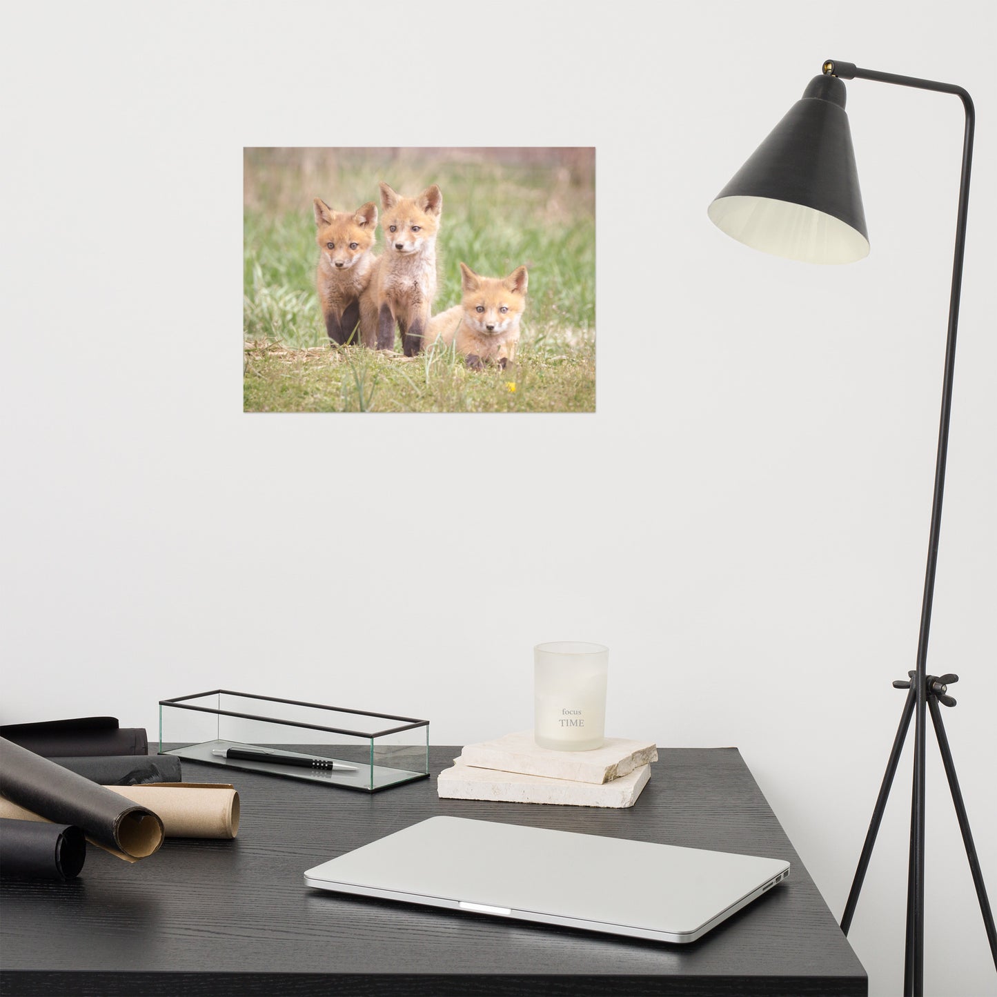 Baby Red Foxes Siblings Loose Wall Art Print