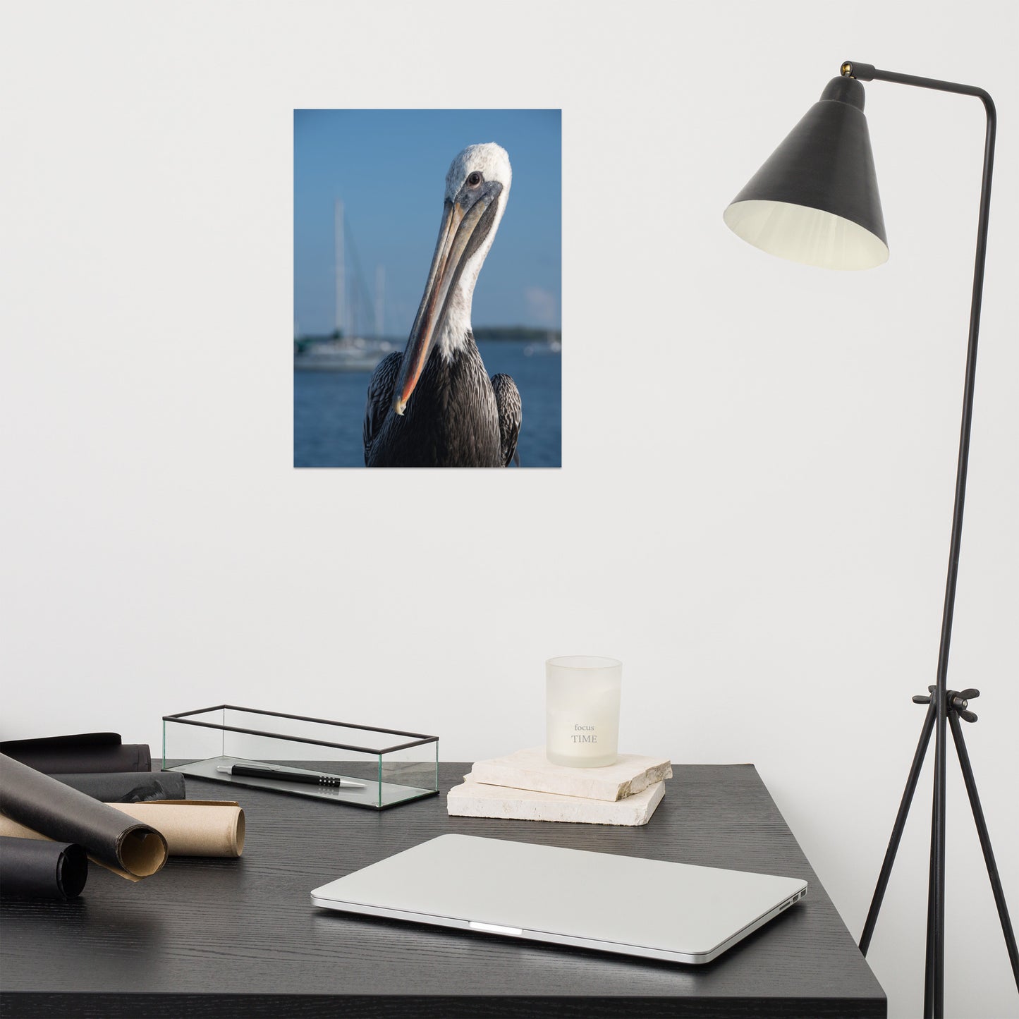 Bob The Pelican 3 Color Loose Wall Art Print