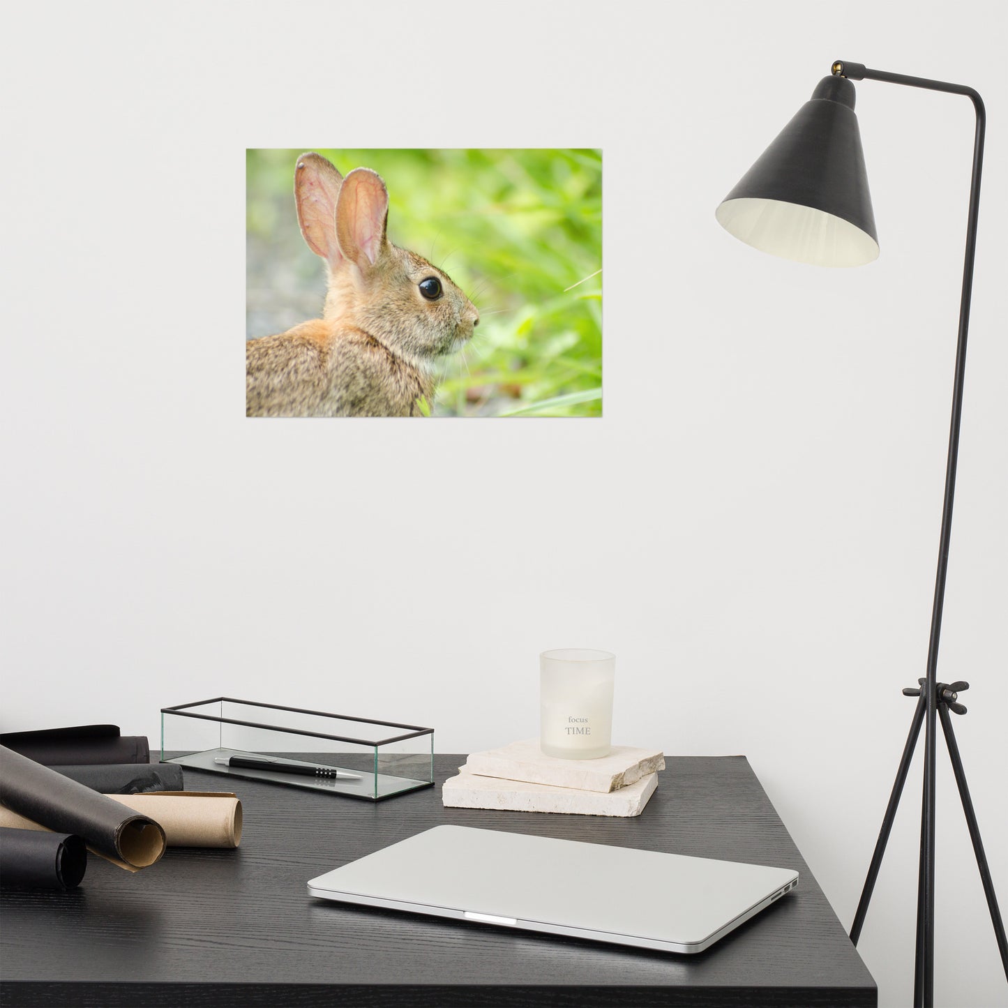 Bunny at Bombay Hook Animal / Wildlife Photograph Loose Wall Art Print