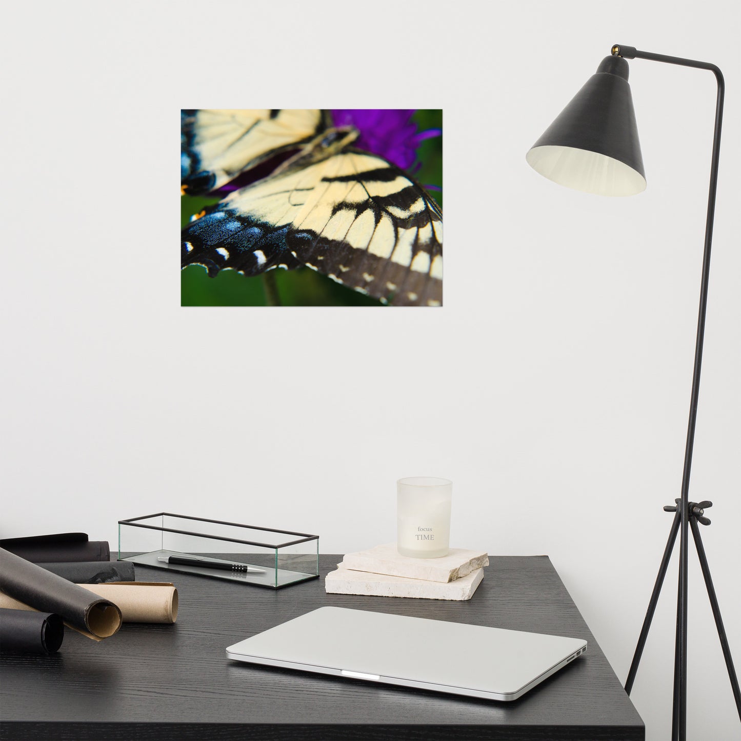 Butterfly Wings Animal / Wildlife Photograph Loose Wall Art Print