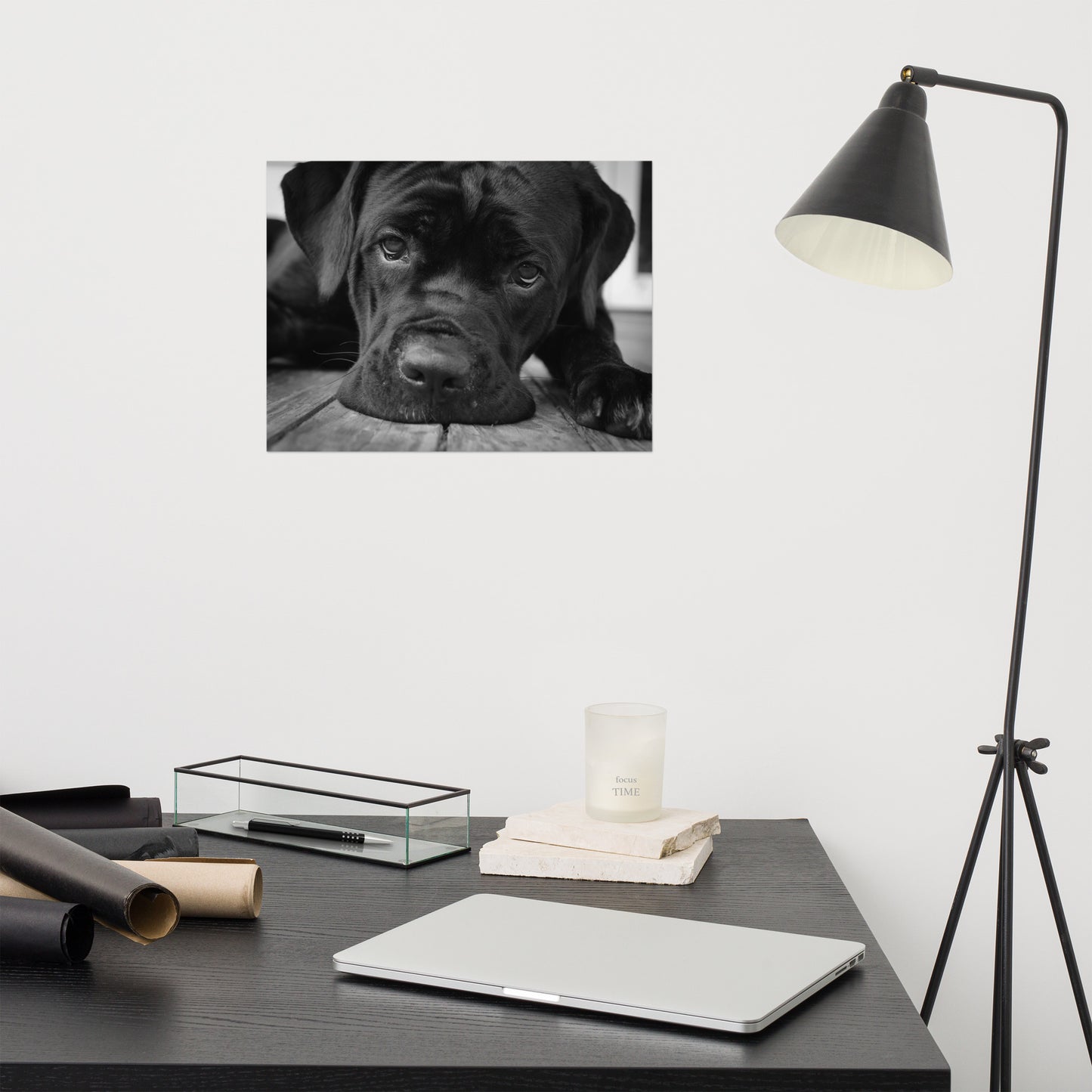 Cane Corso on Porch Animal / Dog Black & White Loose Wall Art Print