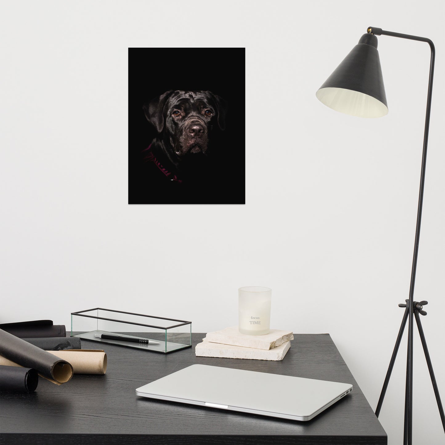 Cane Corso Low-Key Animal Photograph Loose Wall Art Print