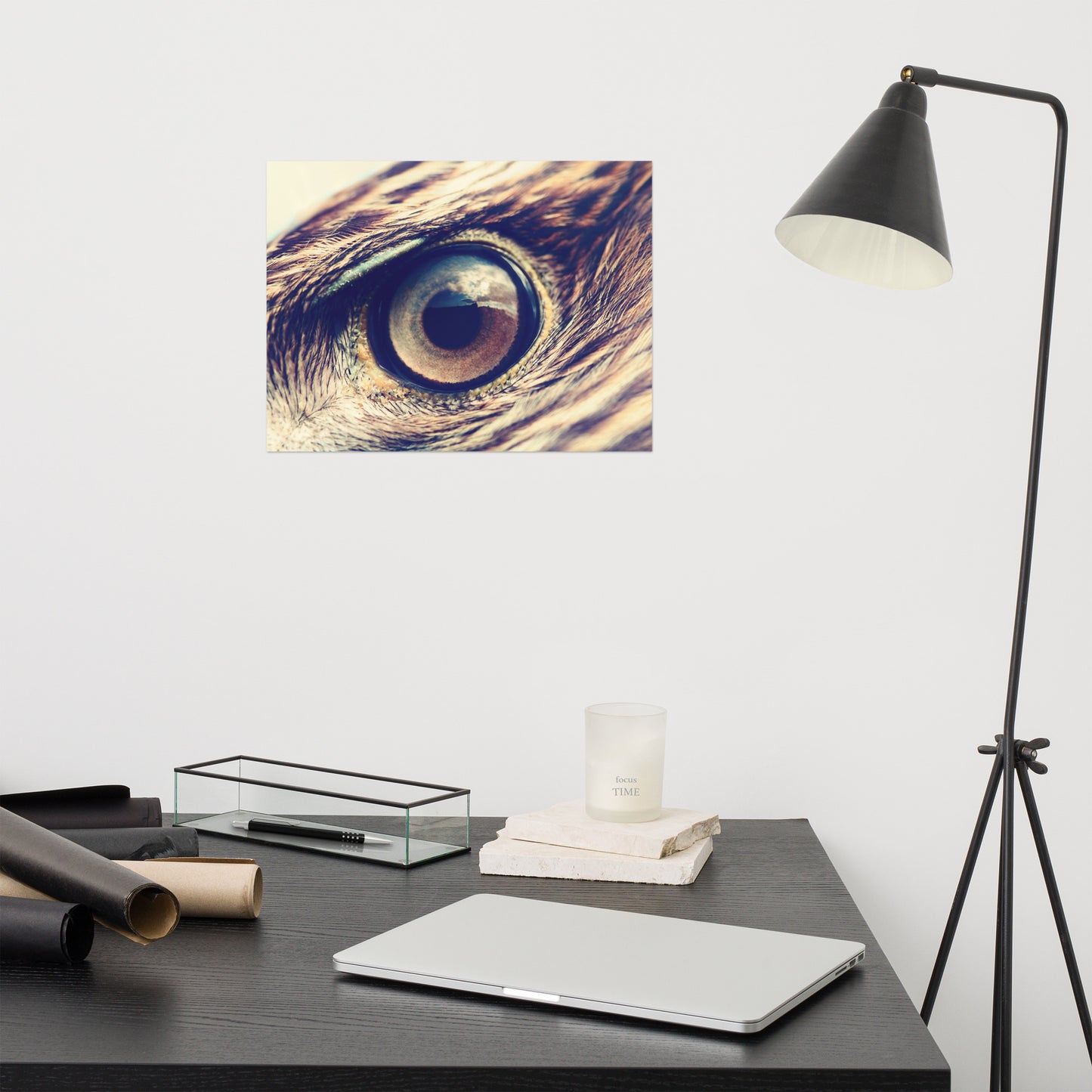 Close-up Eagle Eye Color Tone Rustic Bird / Animal / Wildlife Photo Loose Wall Art Print