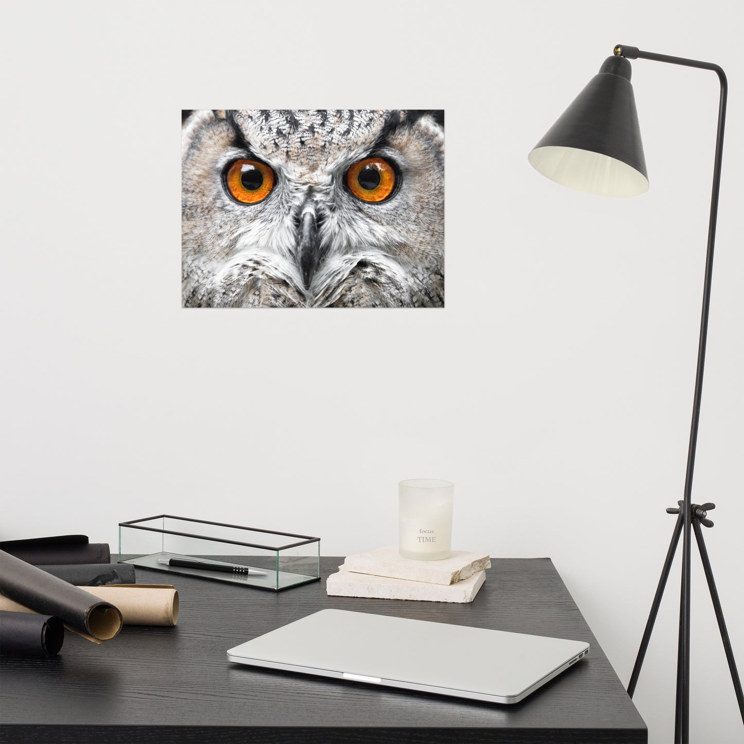 Close-up Yellow Owl Eyes Rustic Bird / Animal / Wildlife Photo Loose Wall Art Print