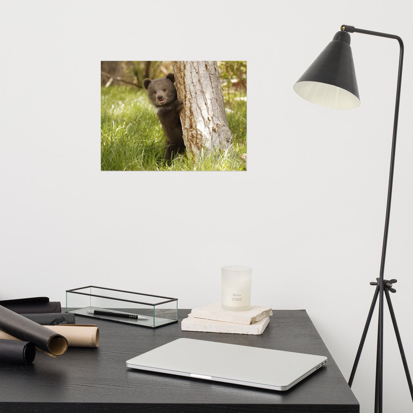 Cute Baby Grizzly Bear Cub Behind Tree In Meadow Rustic Animal / Wildlife Photo Loose Wall Art Print