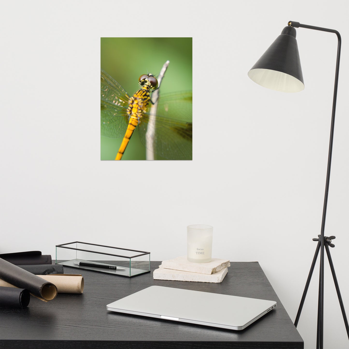 Dragonfly at Bombay Hook Farmhouse Style Wildlife Photograph Loose Wall Art Print