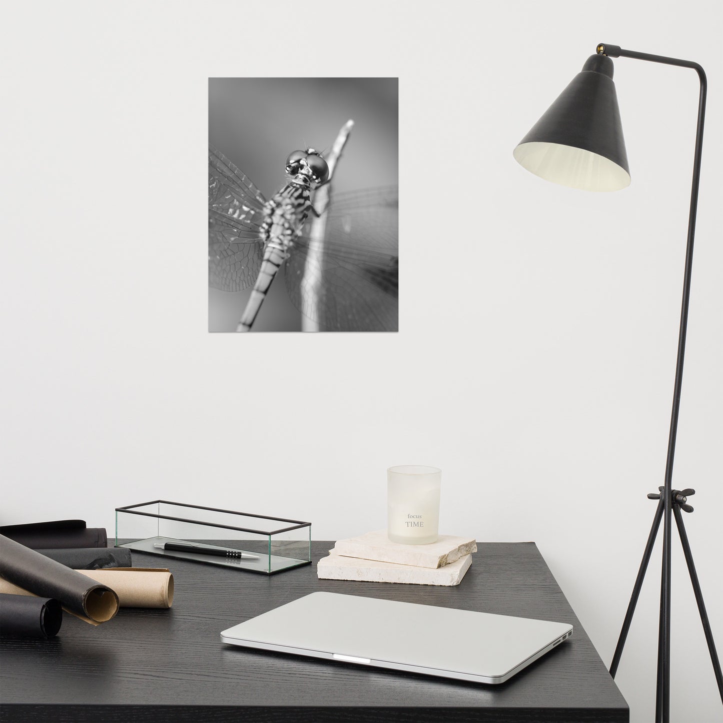 Dragonfly at Bombay Hook Black and White Rustic Wildlife Photograph Loose Wall Art Print