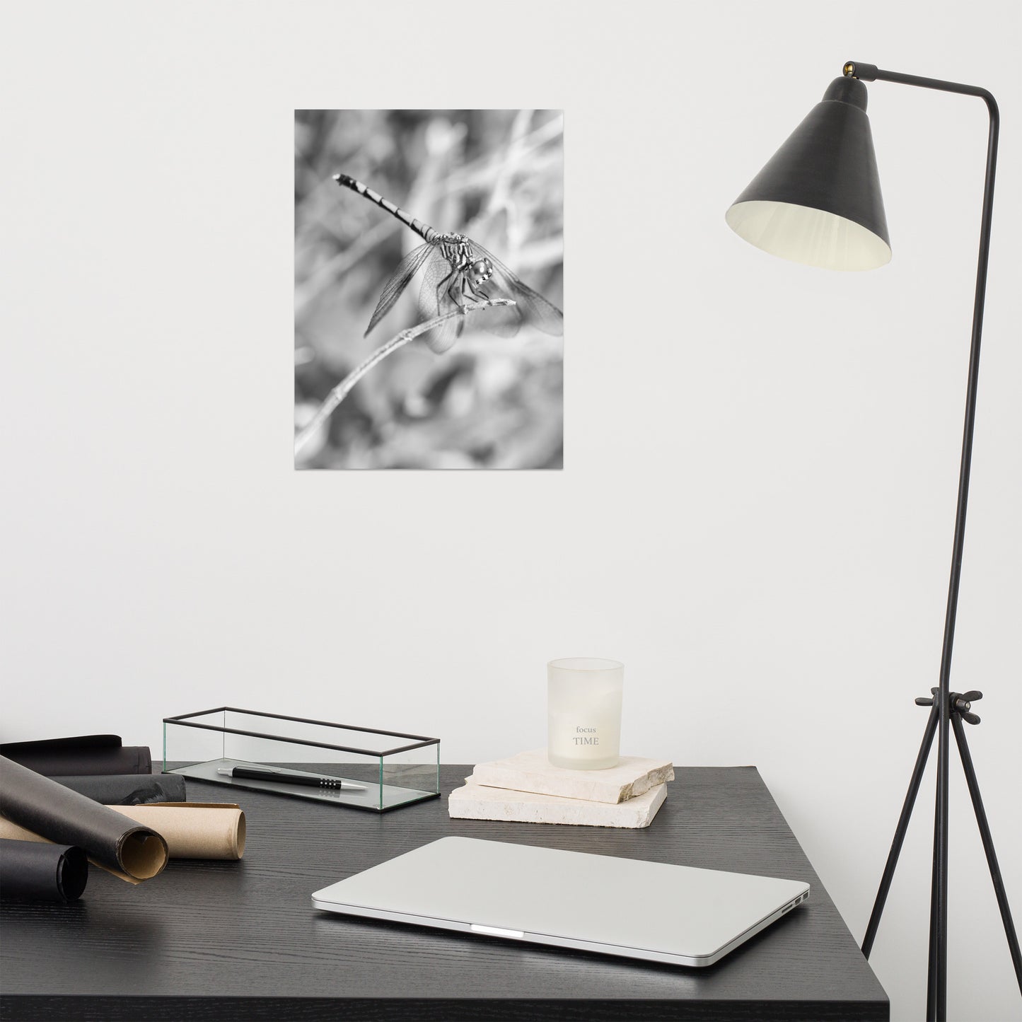 Dragonfly on Twig Black and White Rustic Wildlife Photograph Loose Wall Art Print