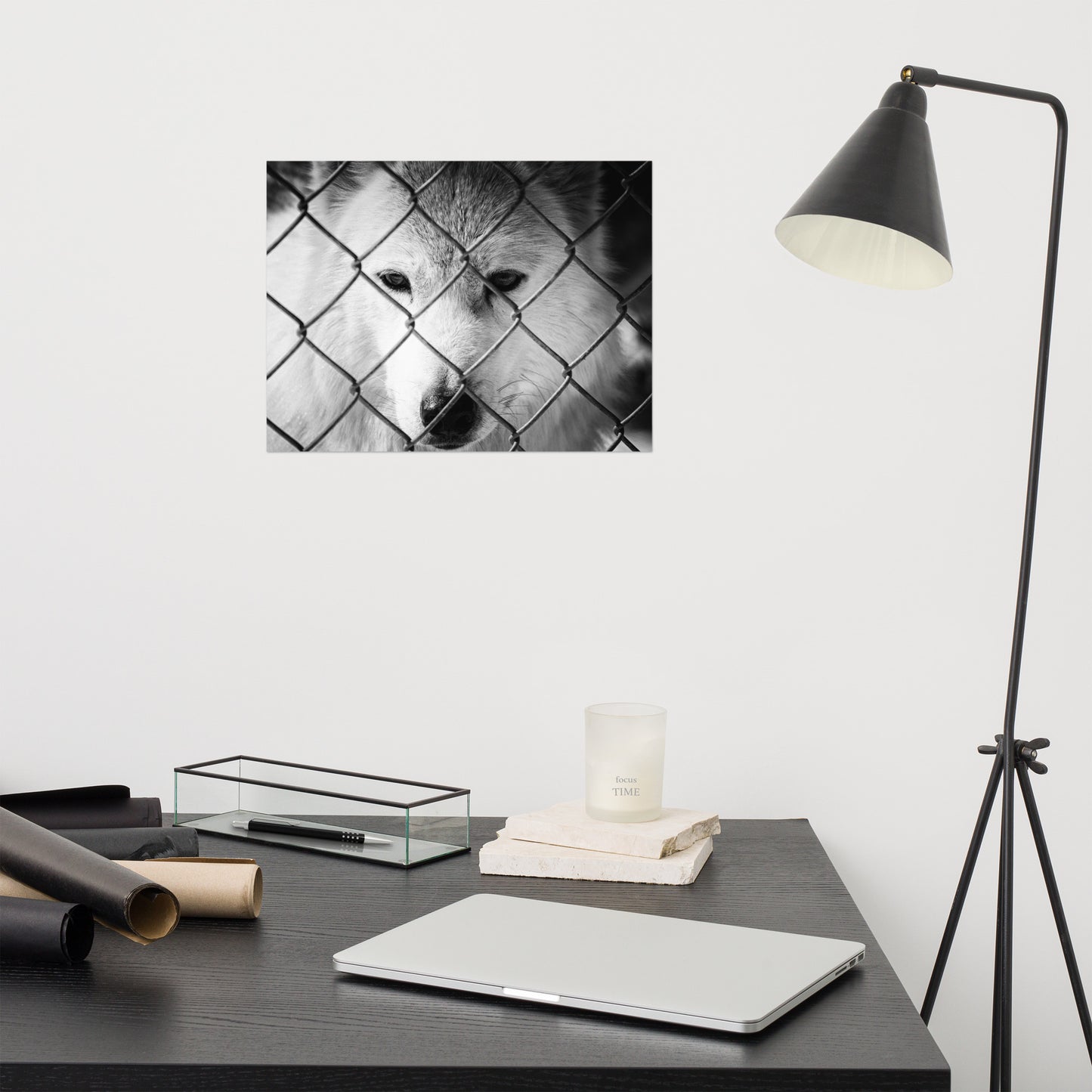 Dreams of Freedom Rustic Animal / Wildlife Photograph Loose Wall Art Print