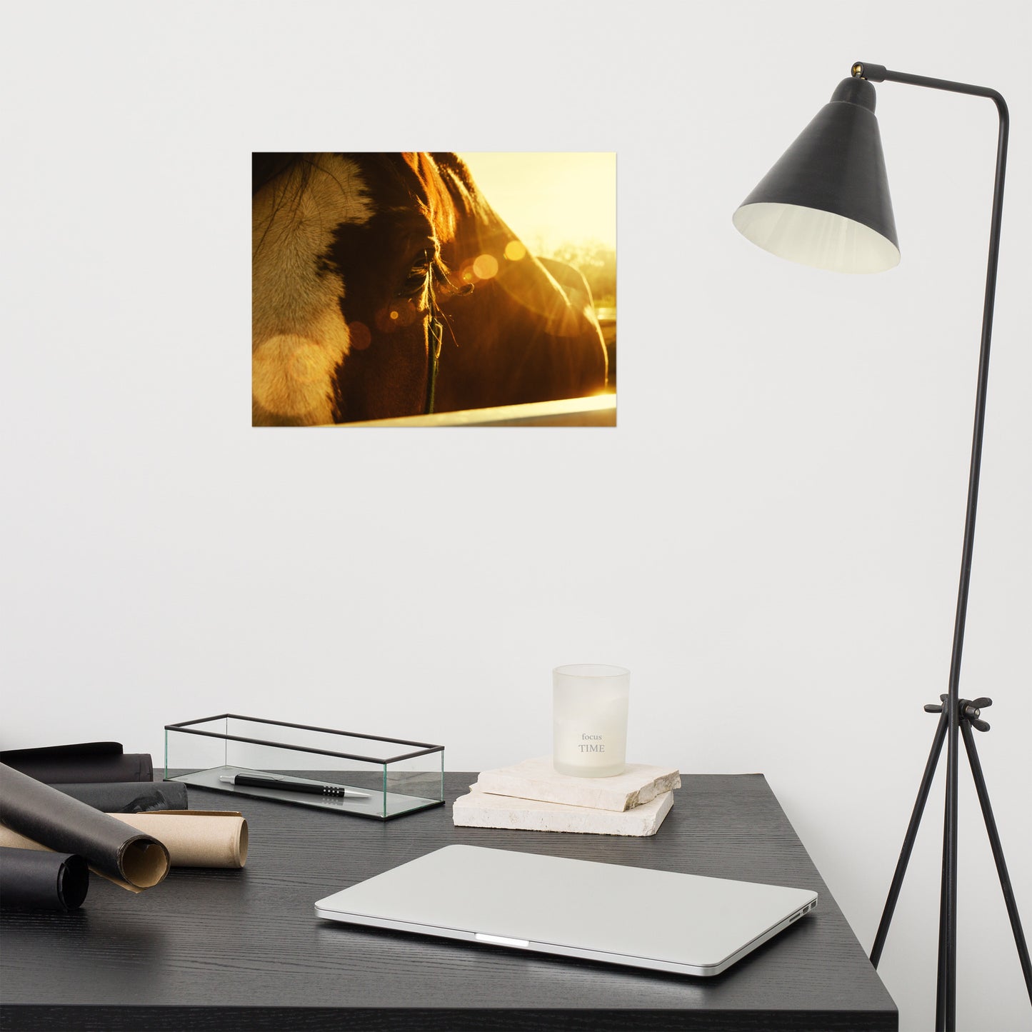 Evening Flare Rustic Farmhouse Style Horse Photograph Loose Wall Art Print