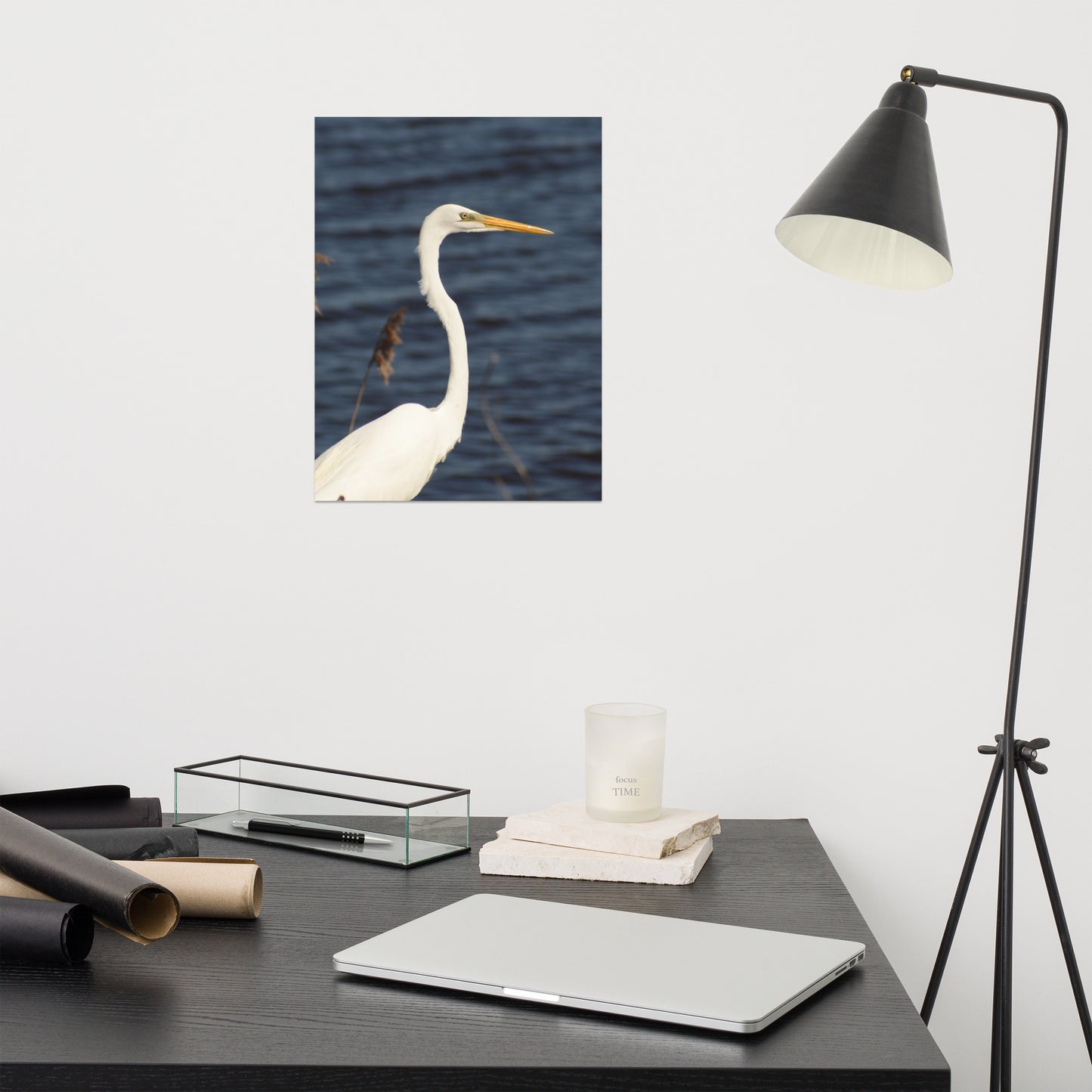 Great White Egret Bird / Animal / Wildlife Photograph Loose Wall Art Print