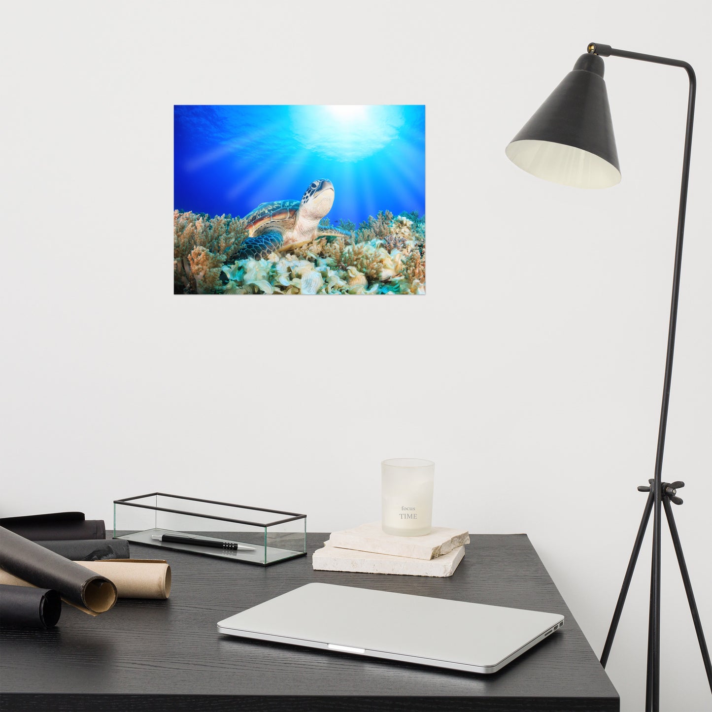 Green Sea Turtle In Tropical Coral Reef and Sunbeams Animal Wildlife Photograph Loose Wall Art Print