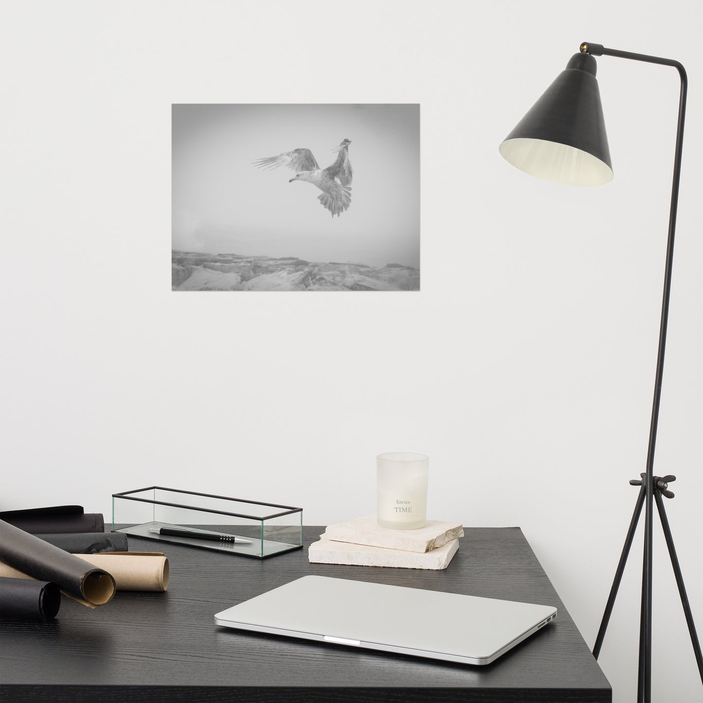 Gull in the Mist Black and White Bird / Animal / Wildlife Photograph Loose Wall Art Print