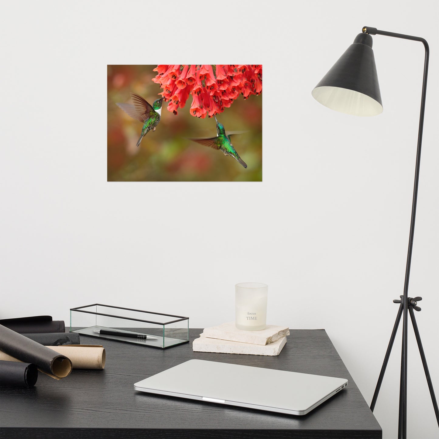 Hummingbirds with Reddish-Orange Flowers Loose Wall Art Print