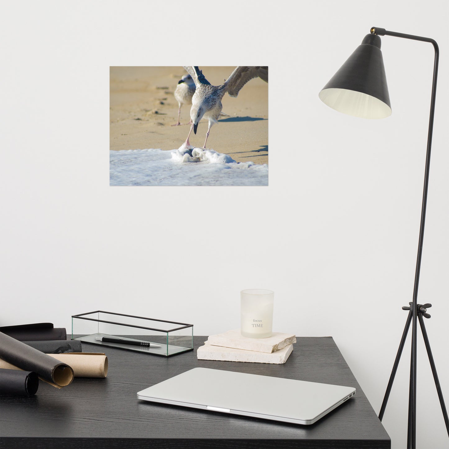 Oh That's Cold Coastal Bird Wildlife Photograph Loose Wall Art Print