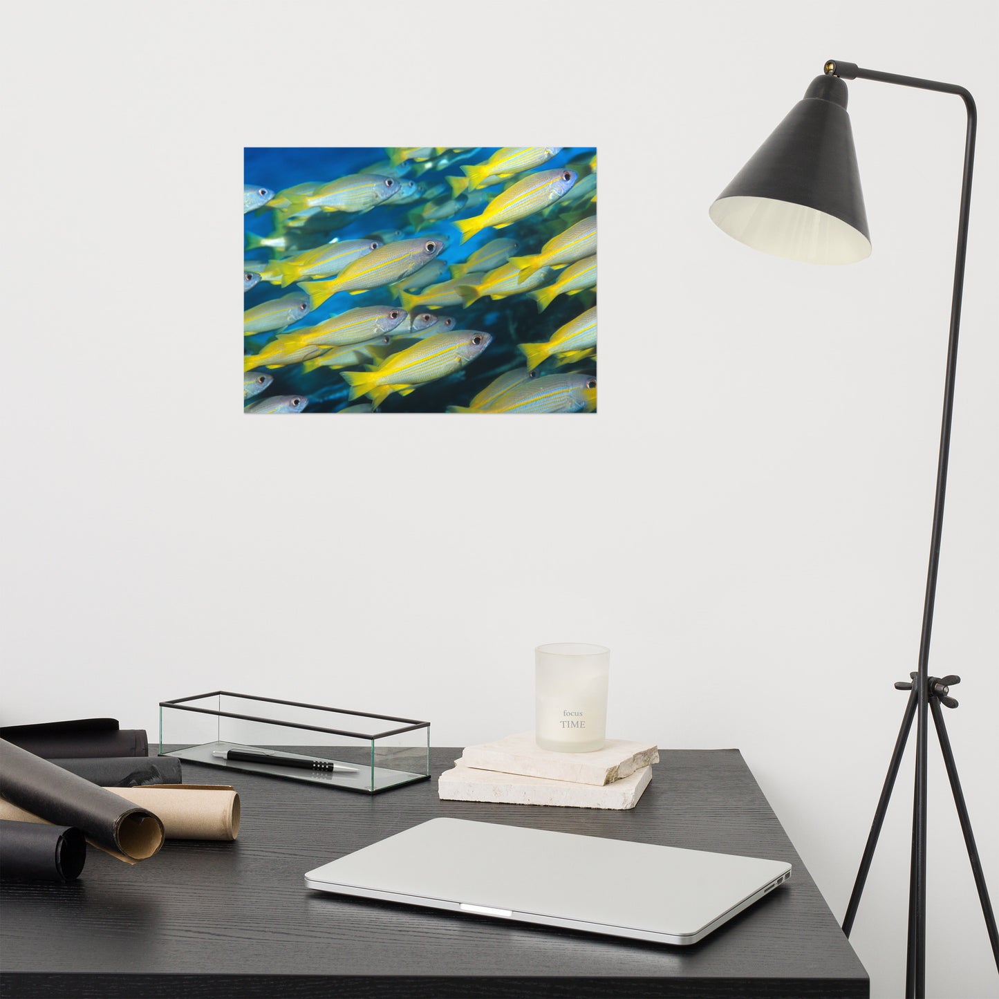 School of Yellow Tropical Fish in Blue Ocean Water Animal Wildlife Photograph Loose Wall Art Print