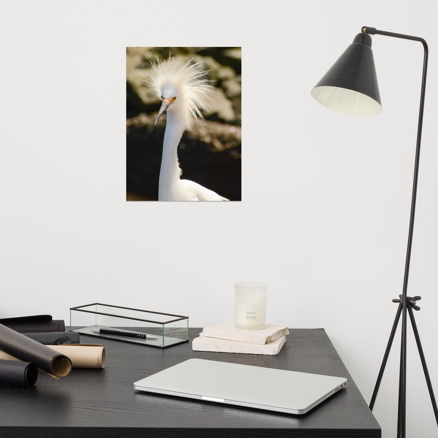 Snowy Egret - Coastal Bird Wildlife Photograph Loose Wall Art Print