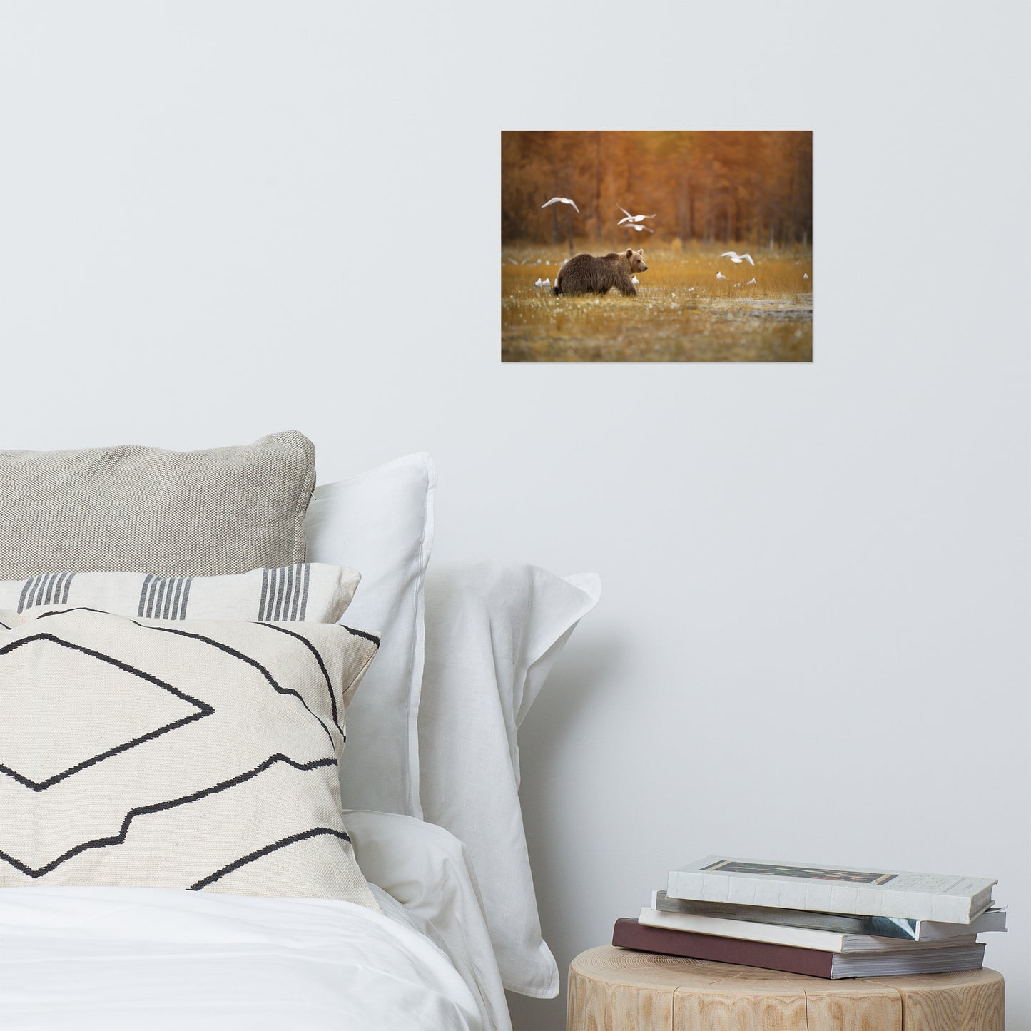 Big Brown Bear Crossing The Marshlands Wildlife Photo Loose Wall Art Prints