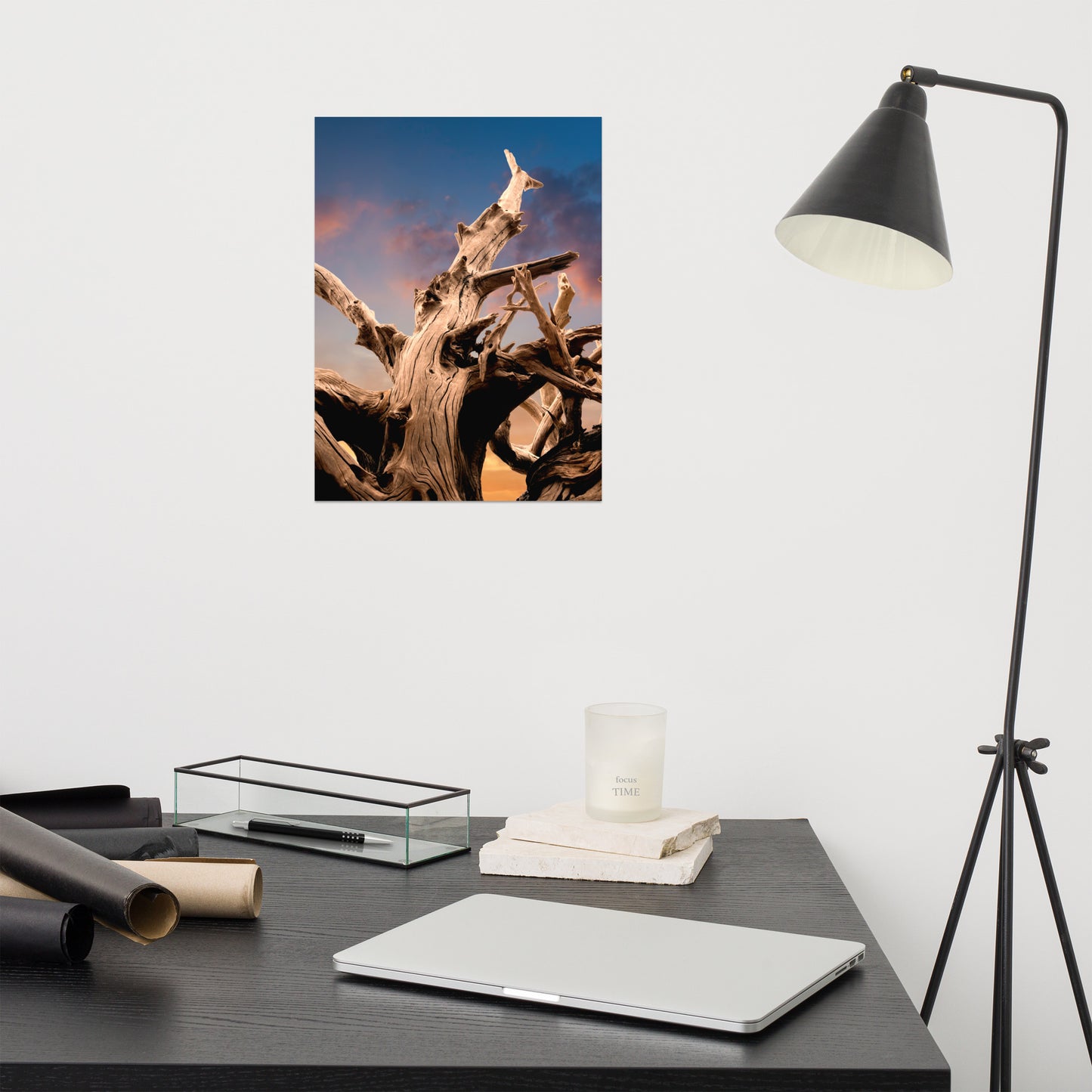 Wilted Cypress Tree and Sunrise Rustic Farmhouse Style Nature Photo Loose Wall Art Prints