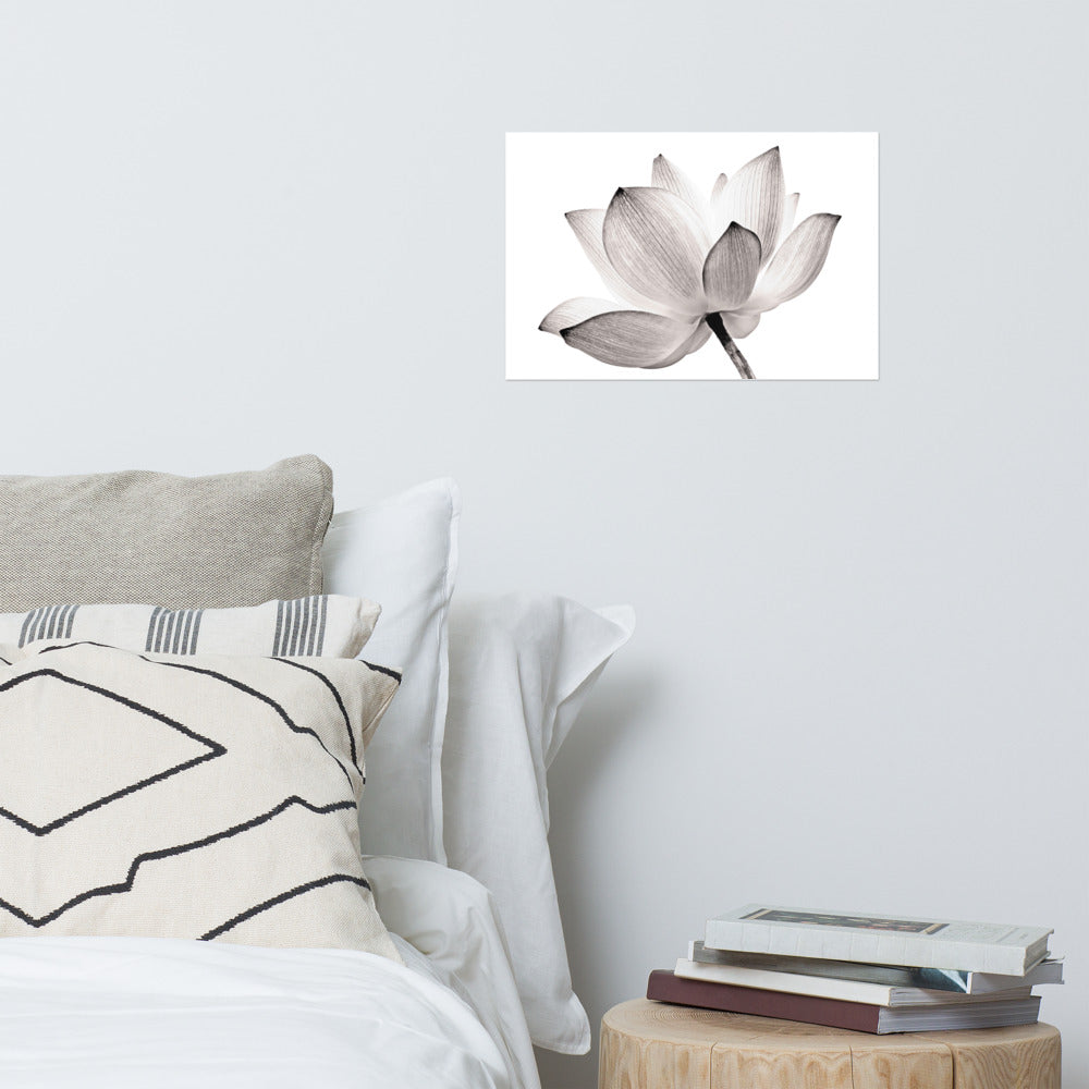 Lotus Flower Tinted Effect Floral Nature Photo Loose Flower Wall Art Print