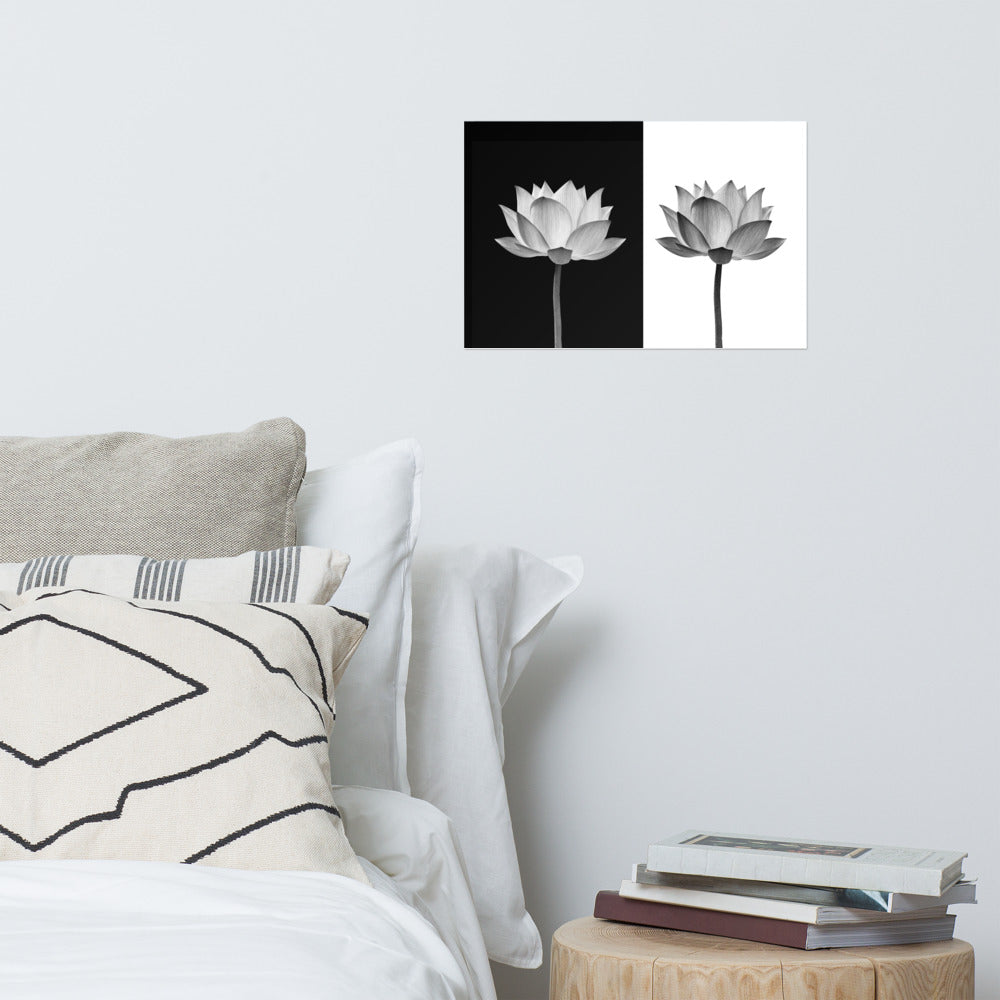 Lotus Flower on Black and White Background Floral Nature Photo Loose Flower Wall Art Print