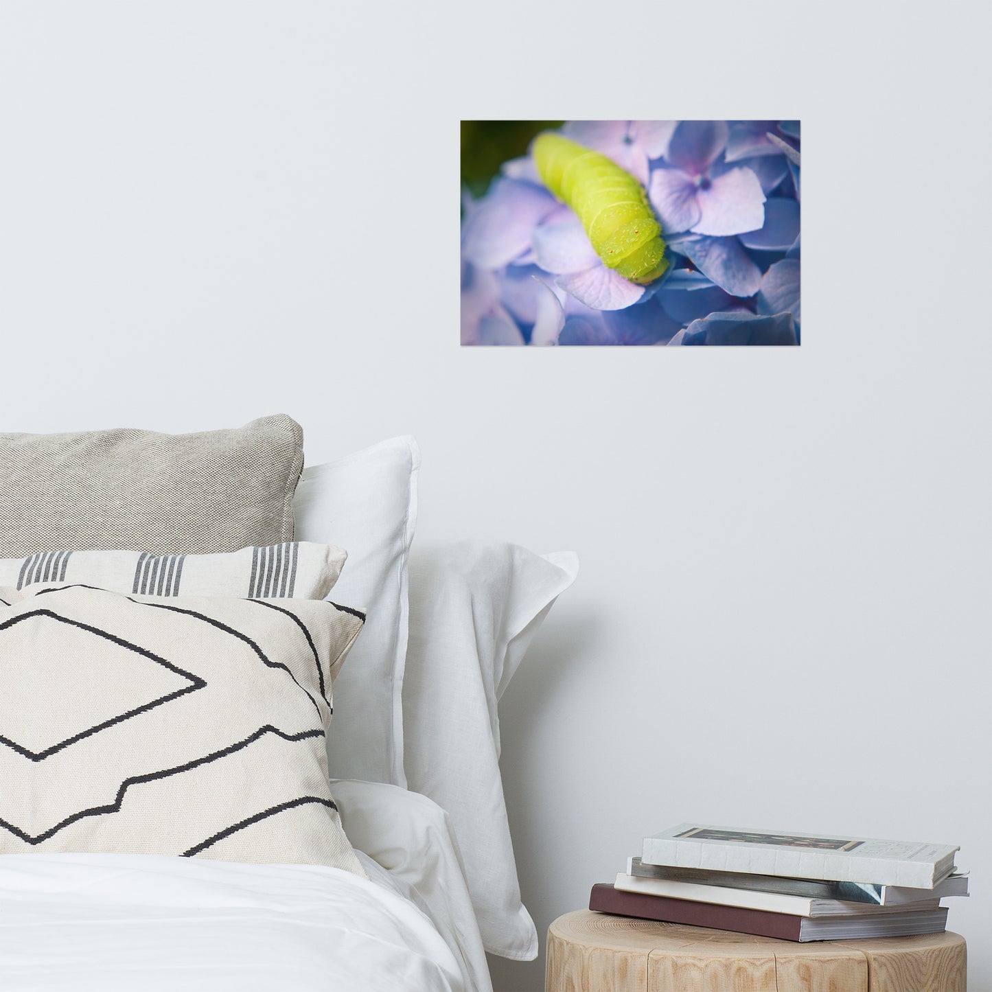 Actias Luna Larvae on Hydrangea Floral Nature Photo Loose Unframed Wall Art Prints