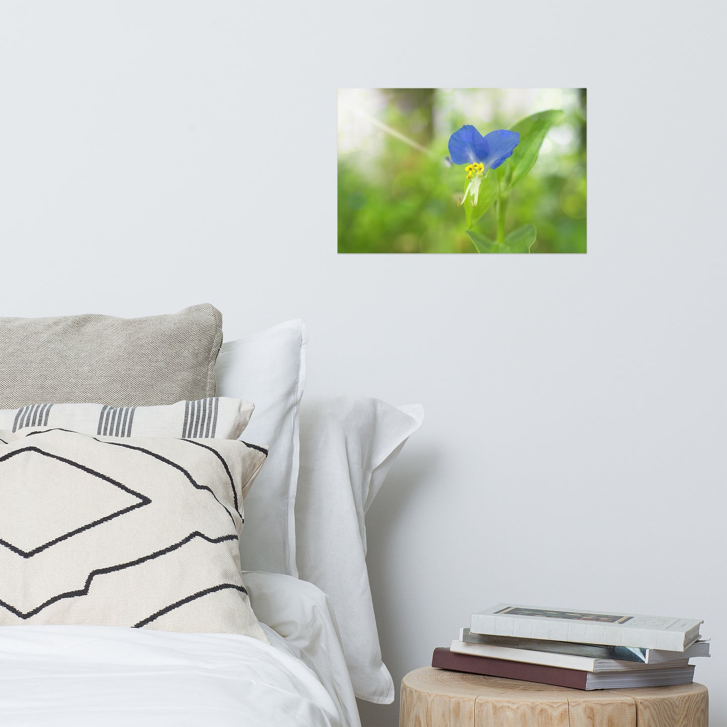 Flower Art Poster: Little Purple and White Flower Bloom - Botanical / Floral / Flora / Flowers / Nature Photograph Loose / Unframed Wall Art Print - Artwork