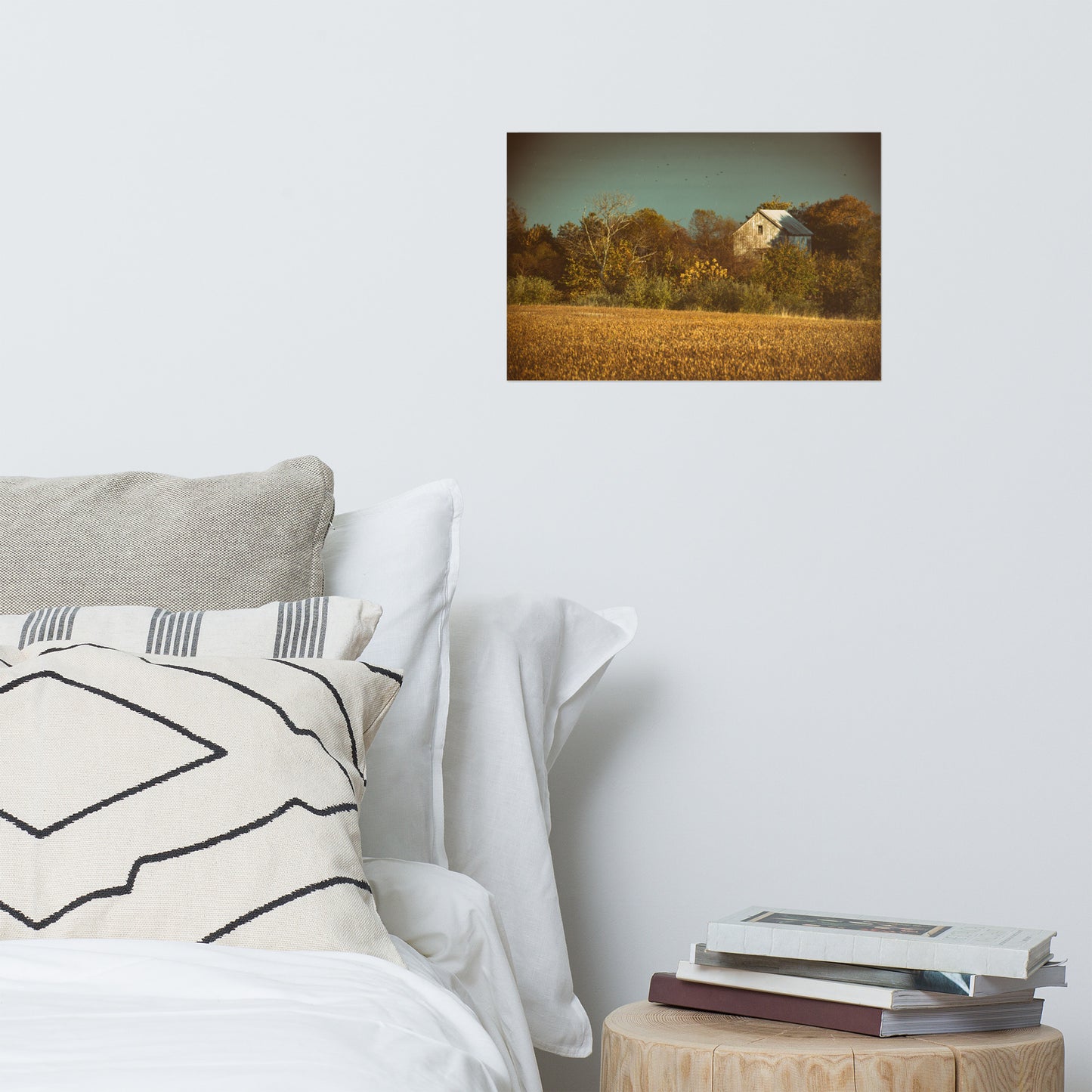 Rustic Hanging Wall Decor: Abandoned Barn Colorized - Rural / Country Style Landscape / Nature Loose / Unframed Wall Art Print - Artwork
