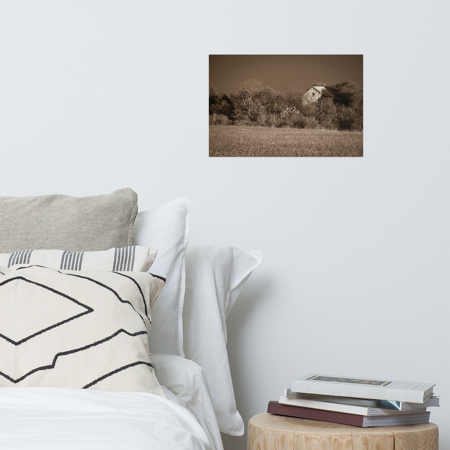 Rustic Wall Art Decor: Abandoned Barn In The Trees Sepia - Rural / Country Style Landscape / Nature Loose / Unframed Photograph Wall Art Print - Artwork