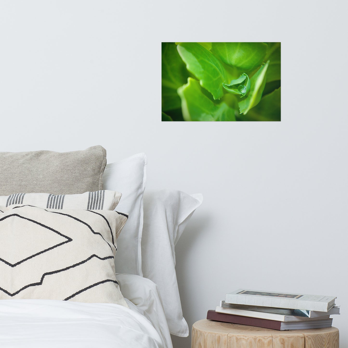 Cupped Droplet Rustic Minimal Botanical Nature Photo Loose Unframed Wall Art Prints