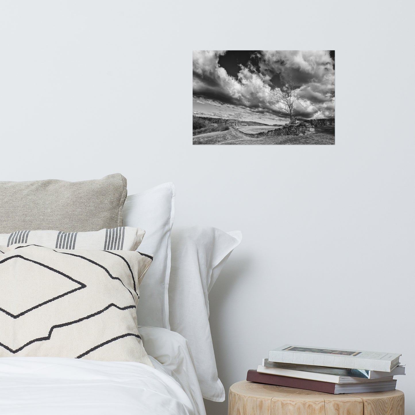 Dead Tree and Stone Wall Black and White Rustic Landscape Photo Loose Wall Art Prints