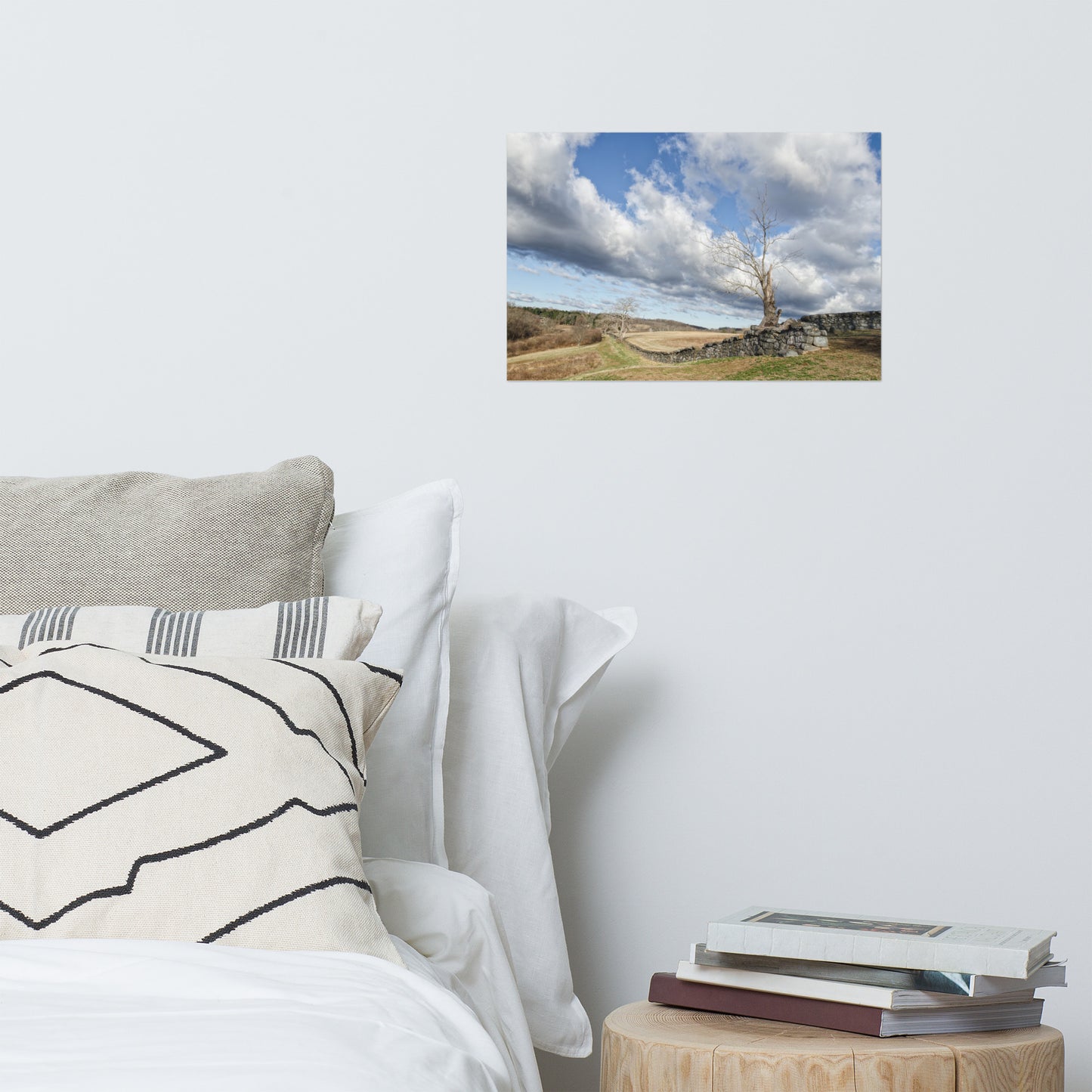 Dead Tree and Stone Wall Rustic Farmhouse Style Landscape Photo Loose Wall Art Prints