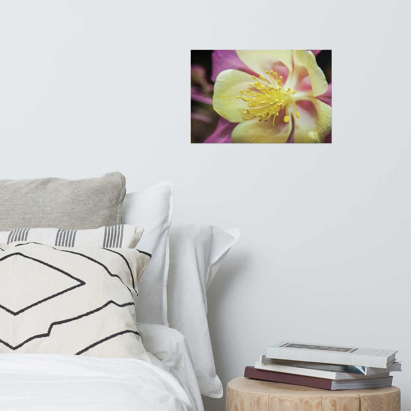 Delicate Columbine Floral Nature Photo Loose Unframed Wall Art Prints