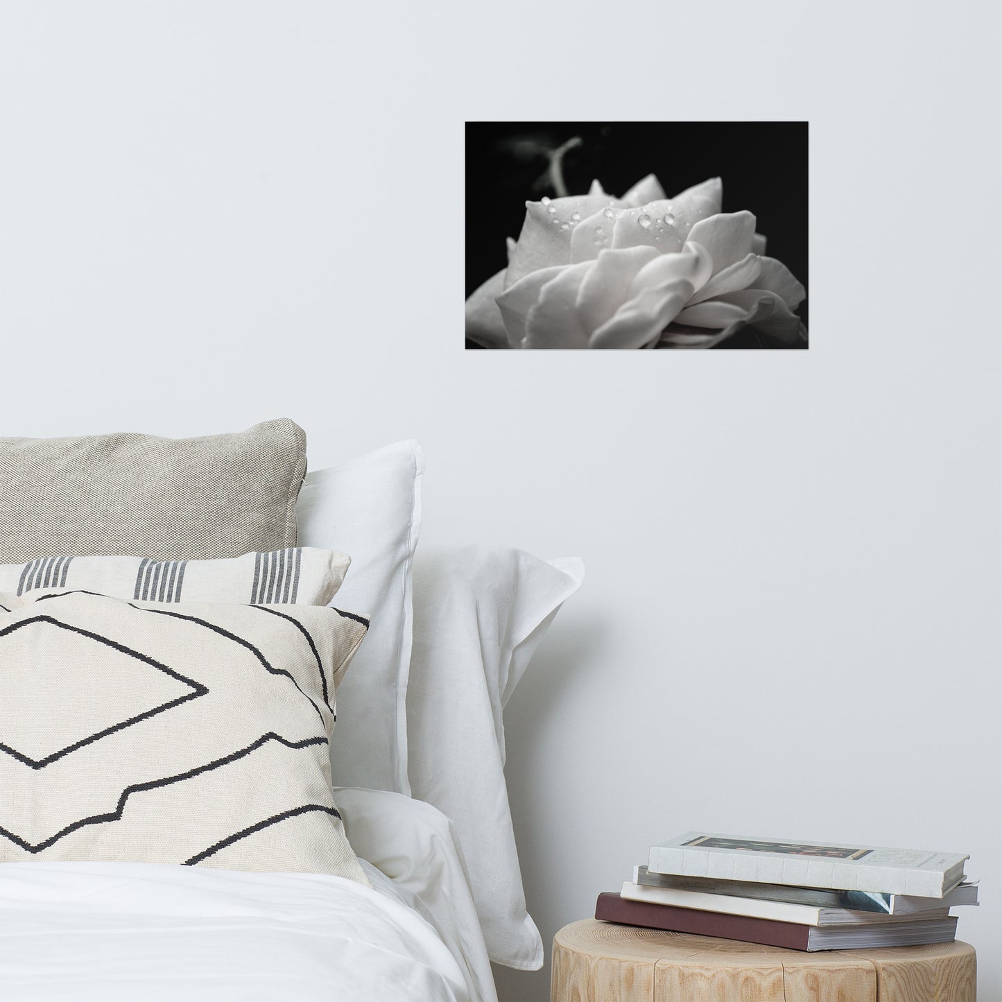 Delicate Rose Black and White Floral Nature Photo Loose Unframed Wall Art Prints