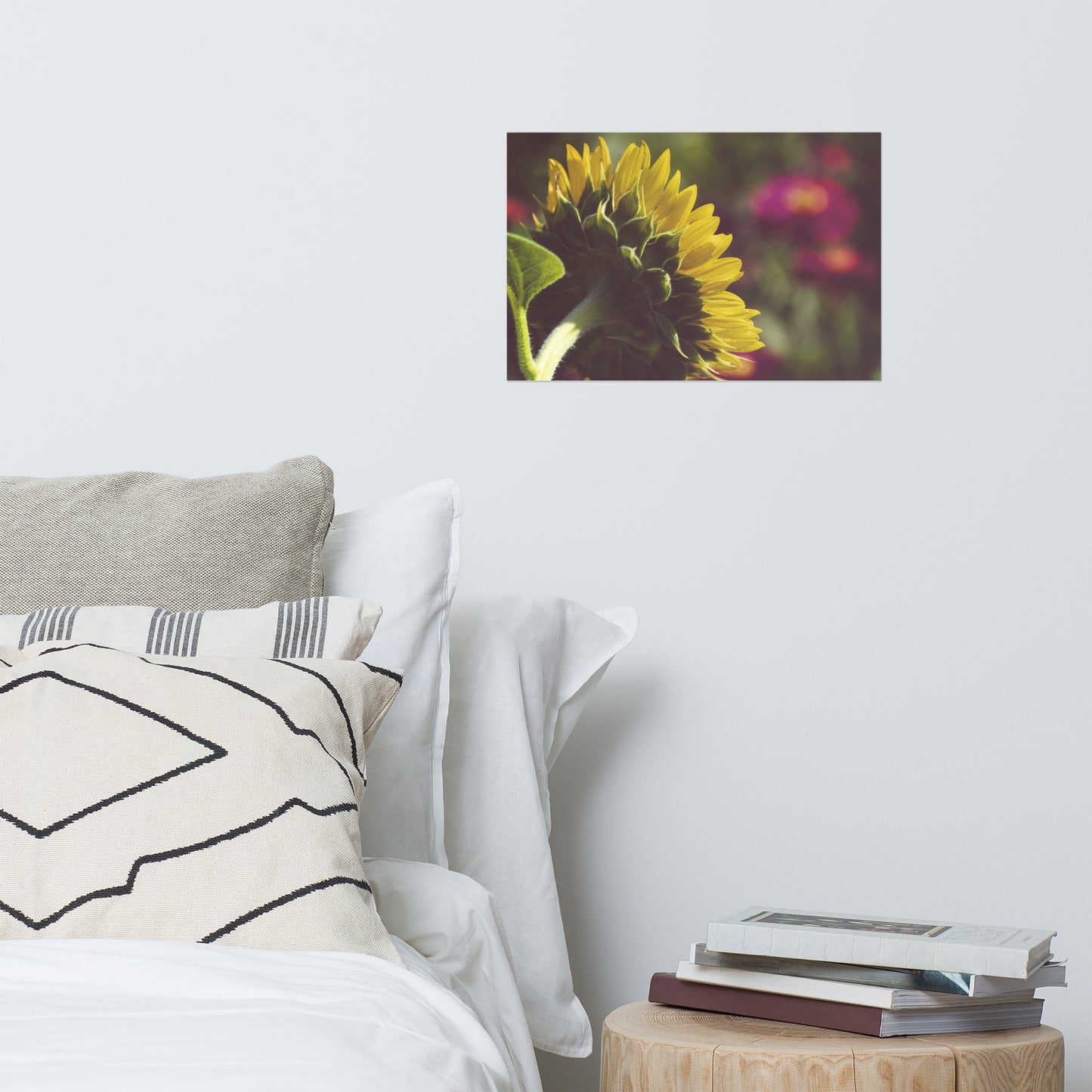 Dramatic Backside of Sunflower Grain Floral Nature Photo Loose Unframed Wall Art Prints