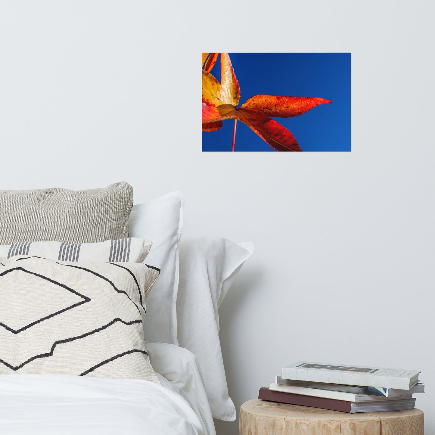 Fall Colors Farmhouse Style Botanical Nature Photo Loose Unframed Wall Art Prints