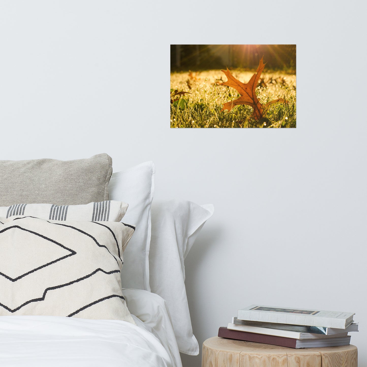 Fall Leaf in Morning Sun Farmhouse Style Botanical Nature Photo Loose Unframed Wall Art Prints