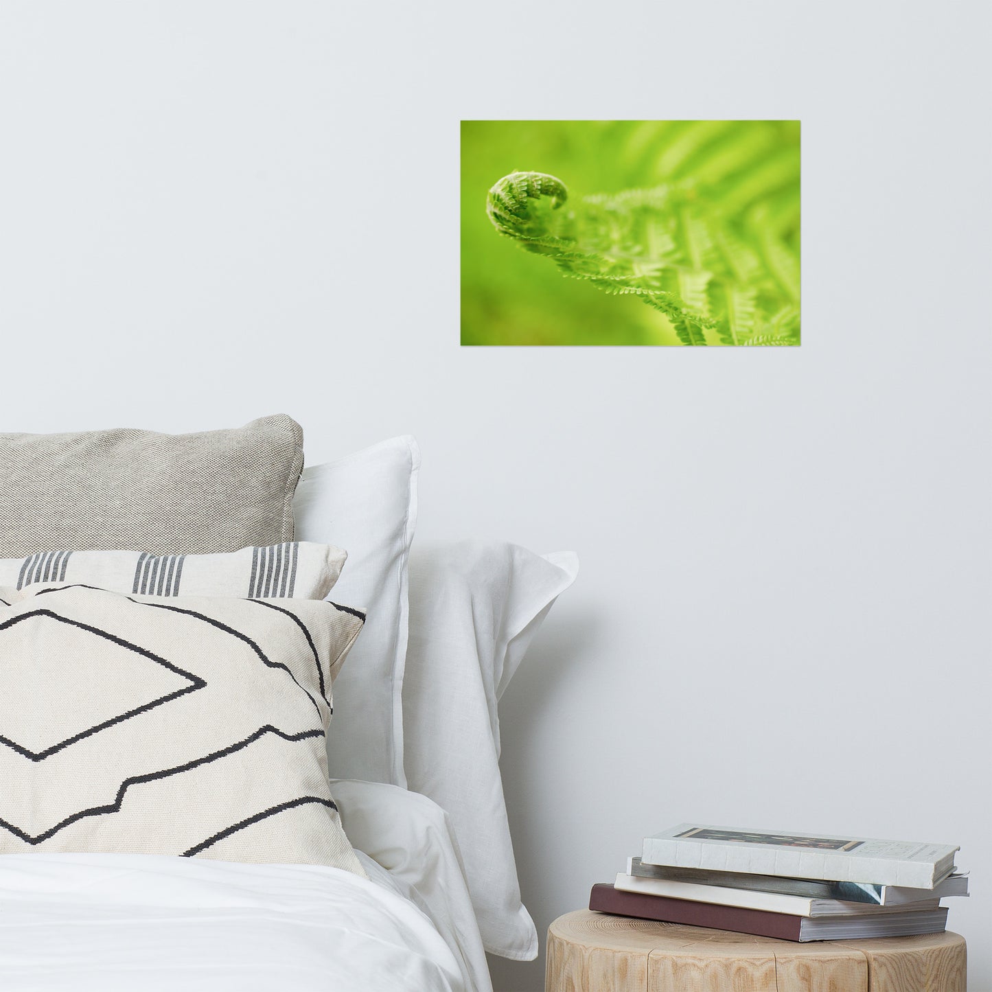 Fern Curl Botanical Nature Photo Loose Unframed Wall Art Prints