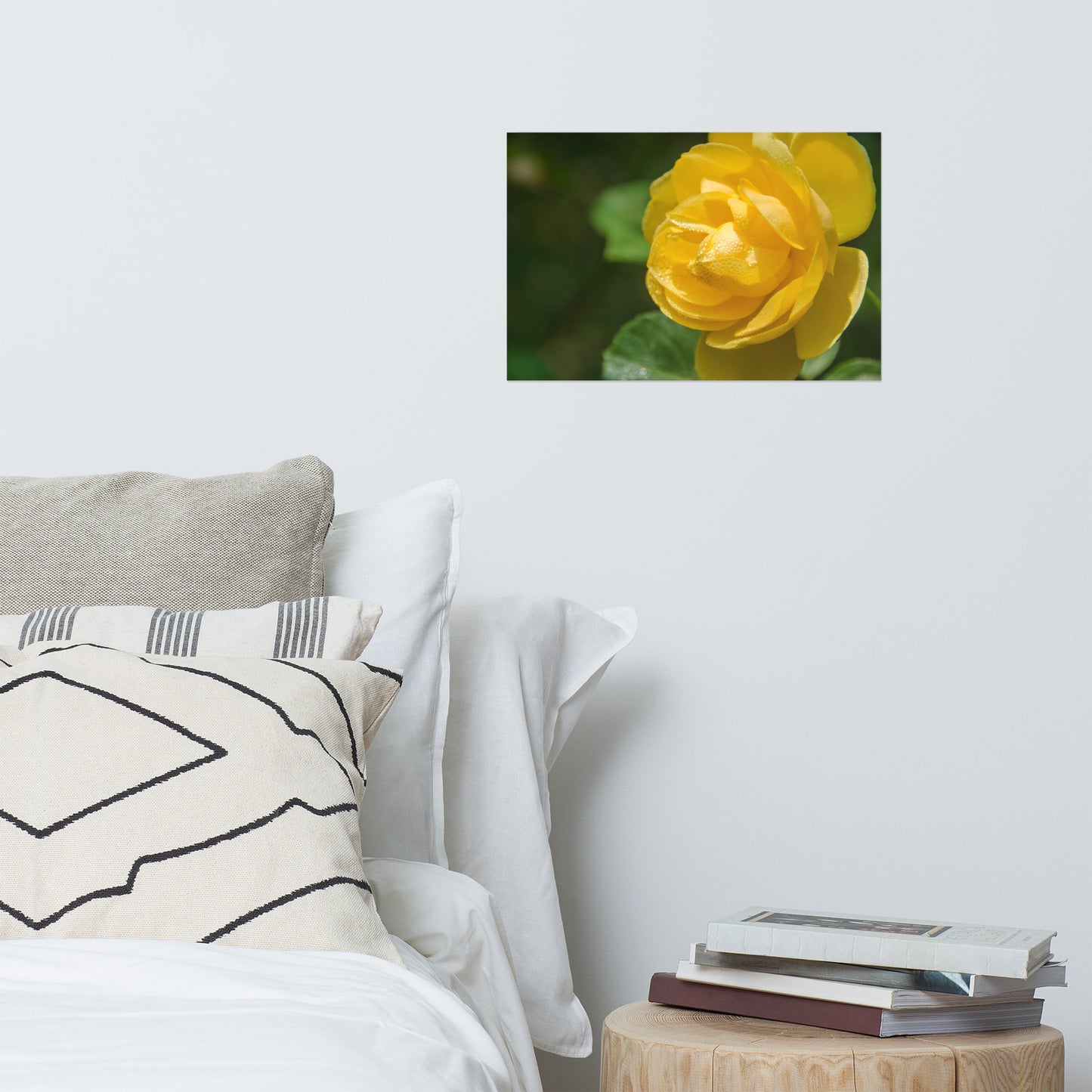 Friendship Rose Floral Nature Photo Loose Unframed Wall Art Prints