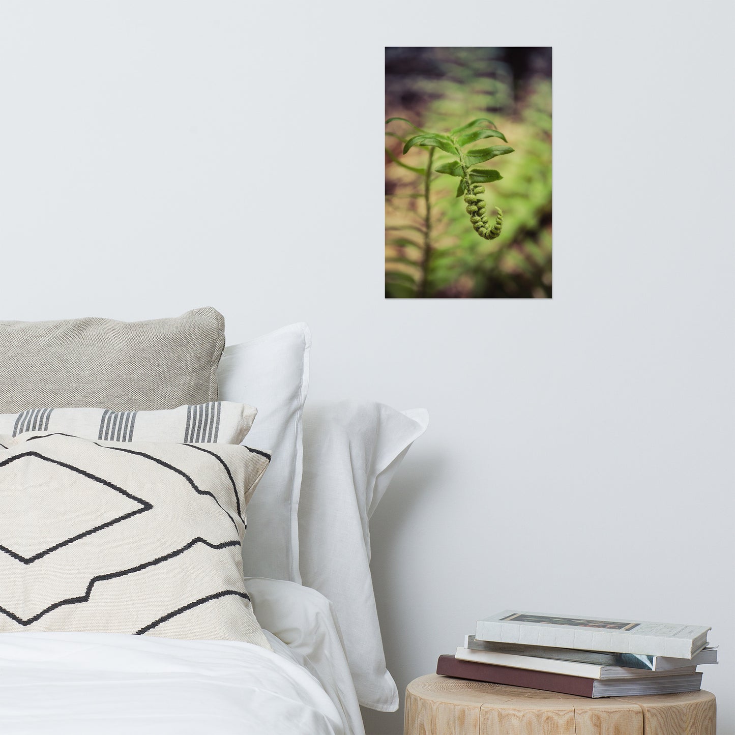 Growth of the Forest Floor Rustic Farmhouse Style Botanical Nature Photo Loose Unframed Wall Art Prints