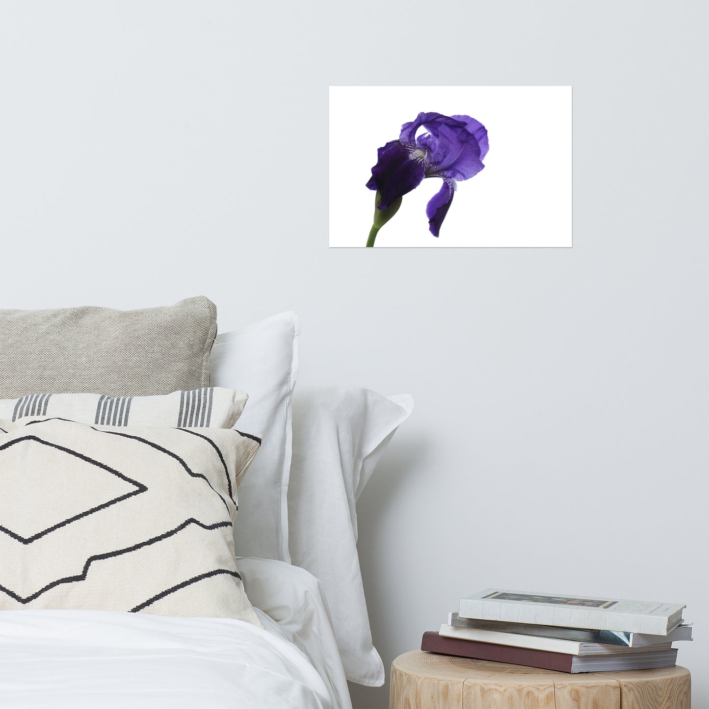 Iris on White Floral Nature Photo Loose Unframed Wall Art Prints